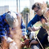 _Gemeinsam digital unterstützt 55 Unternehmen bei der Digitalisierung