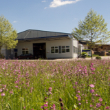 BVMW Mitglieder erhalten Beratung zur naturnahen Gestaltung von Firmengeländen.