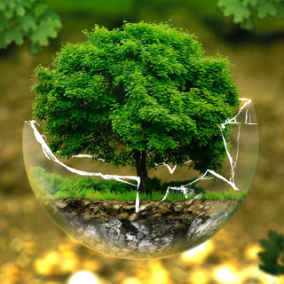 Der BVMW unterstützt „Unternehmen Biologische Vielfalt 2020“