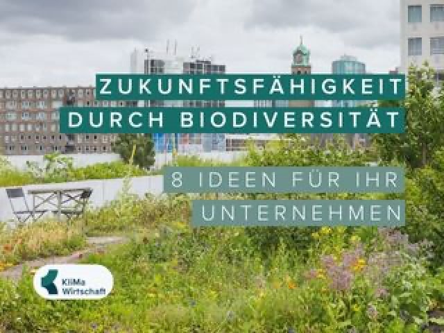 8 Ideen für mehr Biodiversität