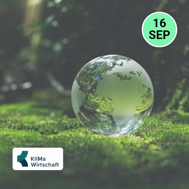 Webimpuls: CO2-Kompensation - geht das "gut"?