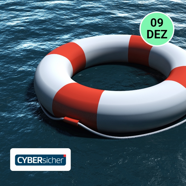 Webimpuls: 30 min für den IT-Notfallplan