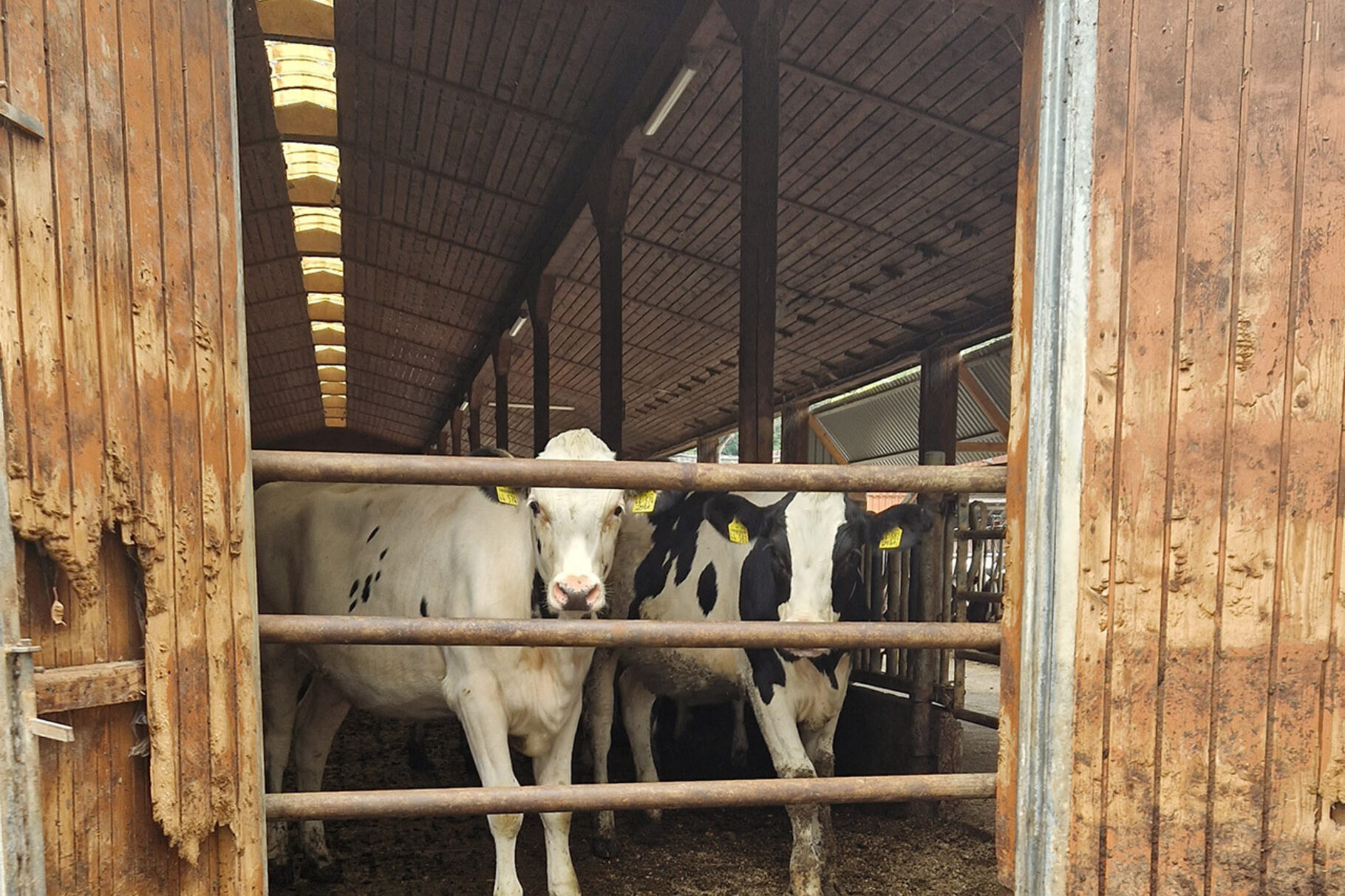 Profession Unternehmerin – zu Gast bei Andrea Rahn-Farr, GbR Rahn/Farr, Büdingen