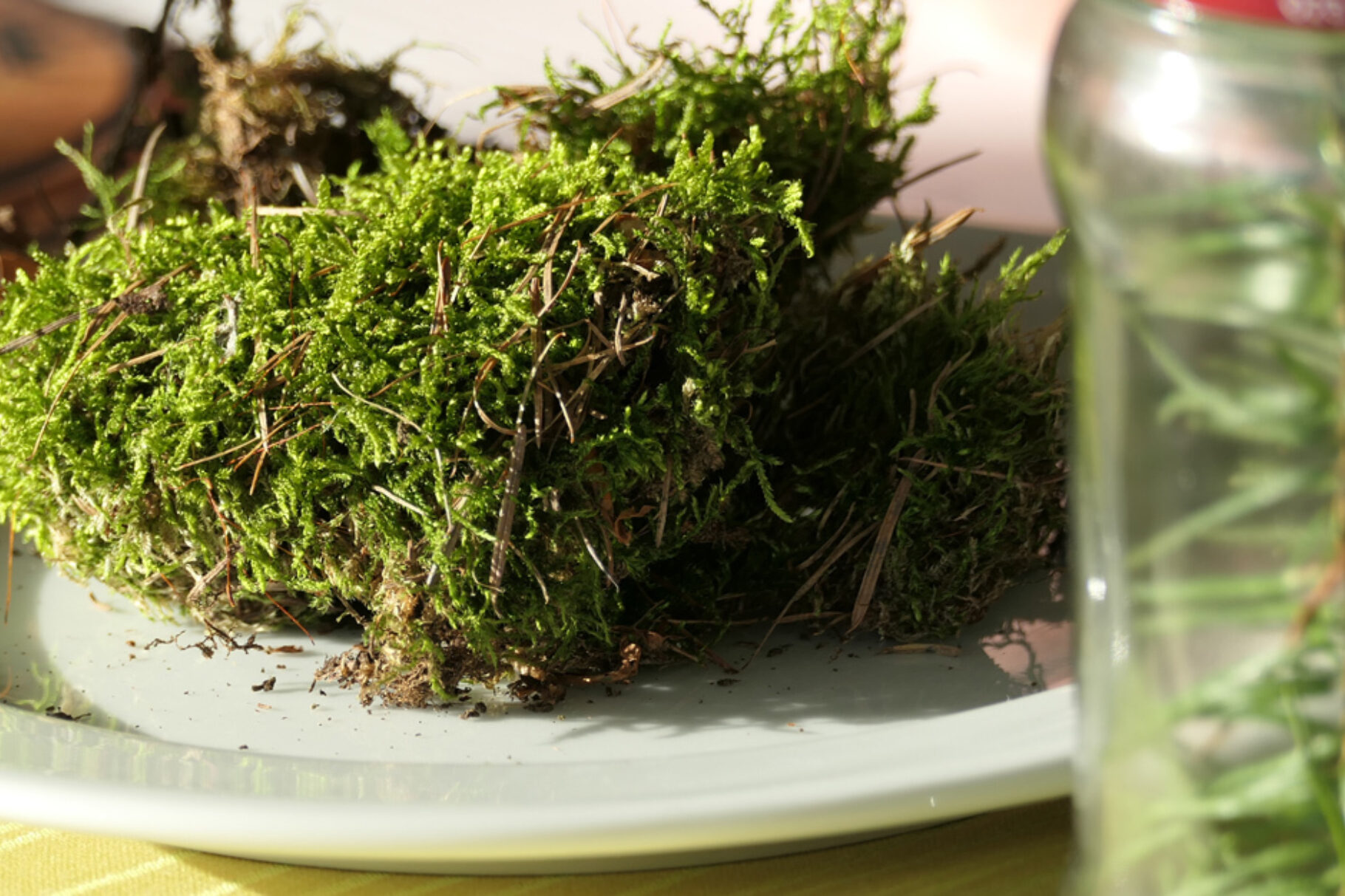 Ich glaub, ich geh‘ im Wald