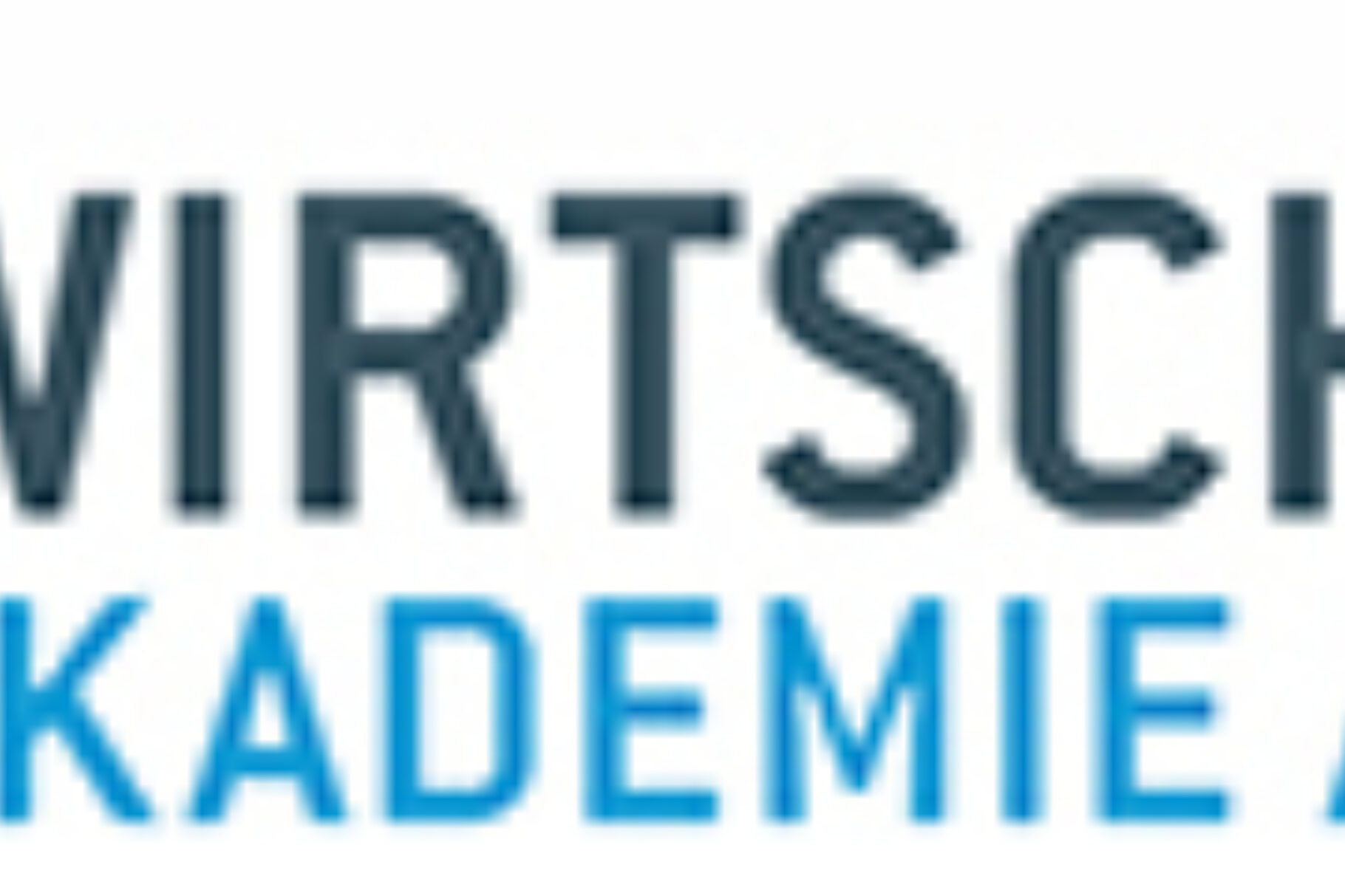 Logo Wirtschaftsakademie Am Ring