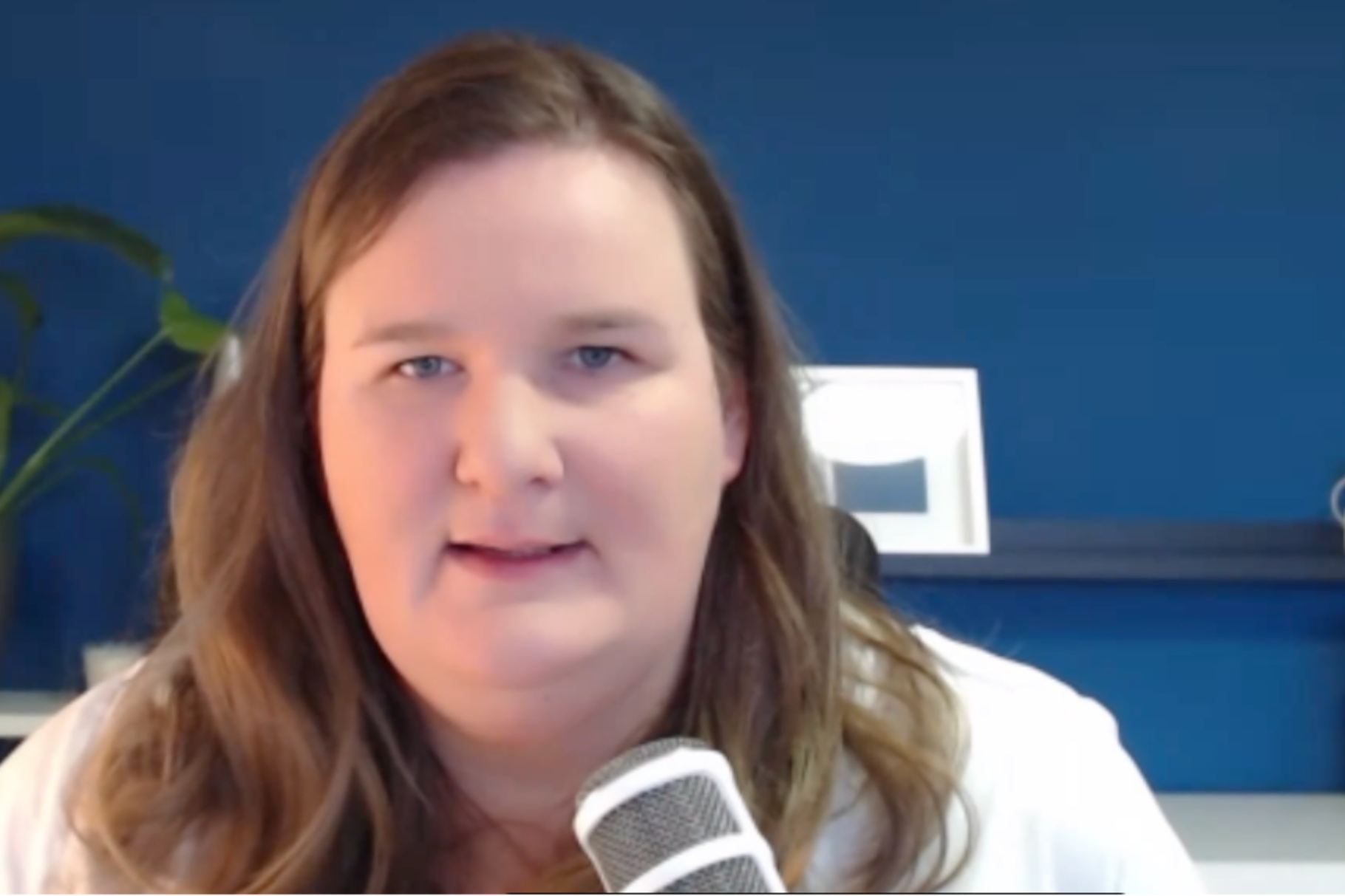 CANVA für Einsteiger