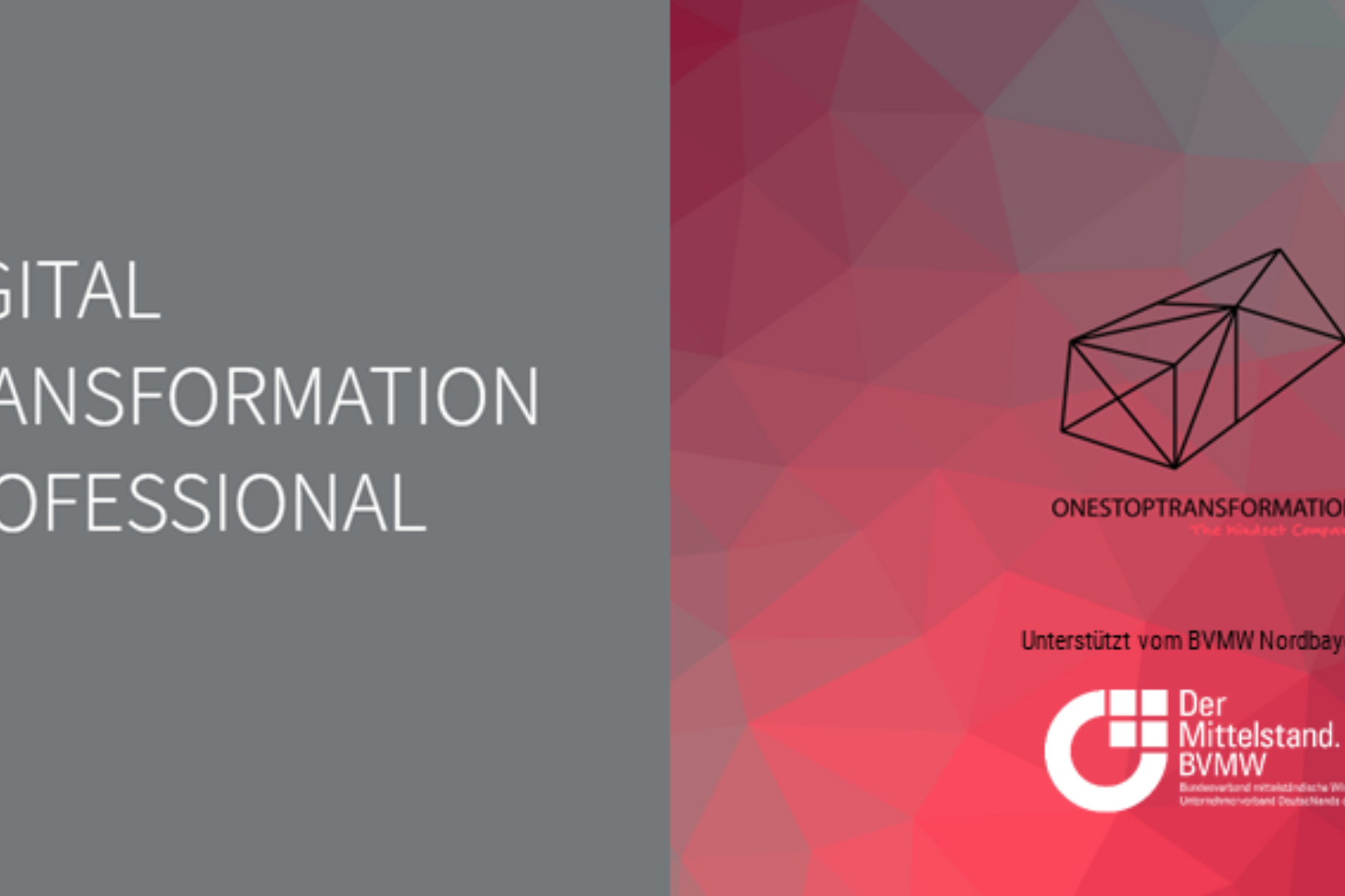 Digital Transformation Professional