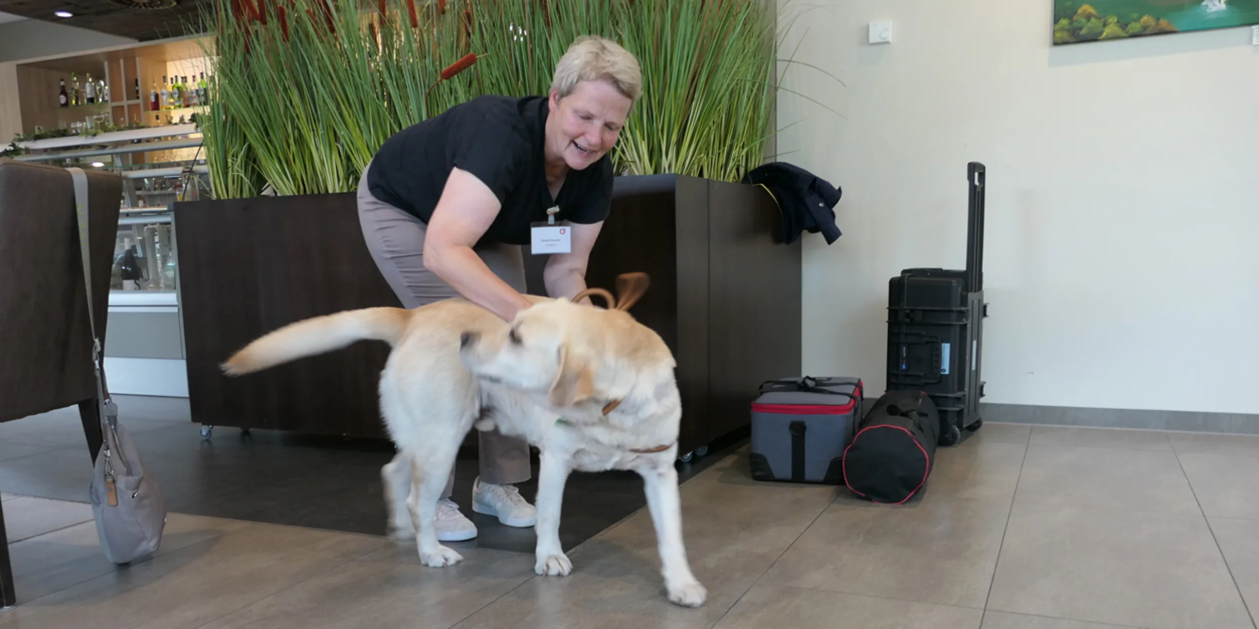 Vom Vorteil, auf den Hund zu kommen