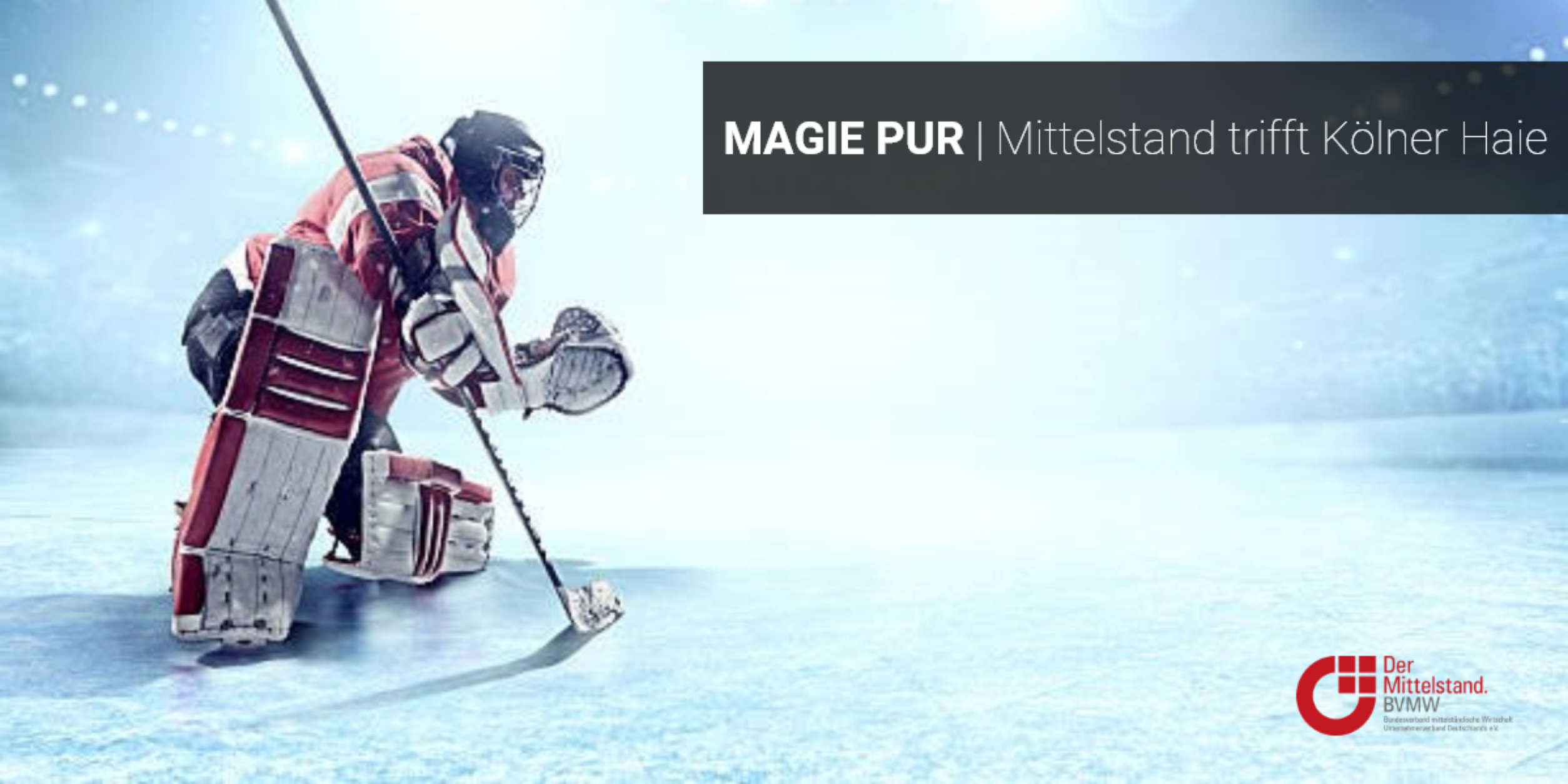 Haie_Banner_Slider.png