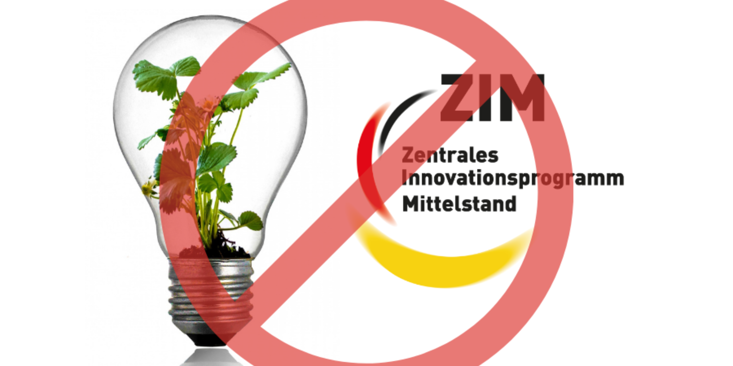 Grafik: ZIM Logo BMWK.de; Pixabay.com/de