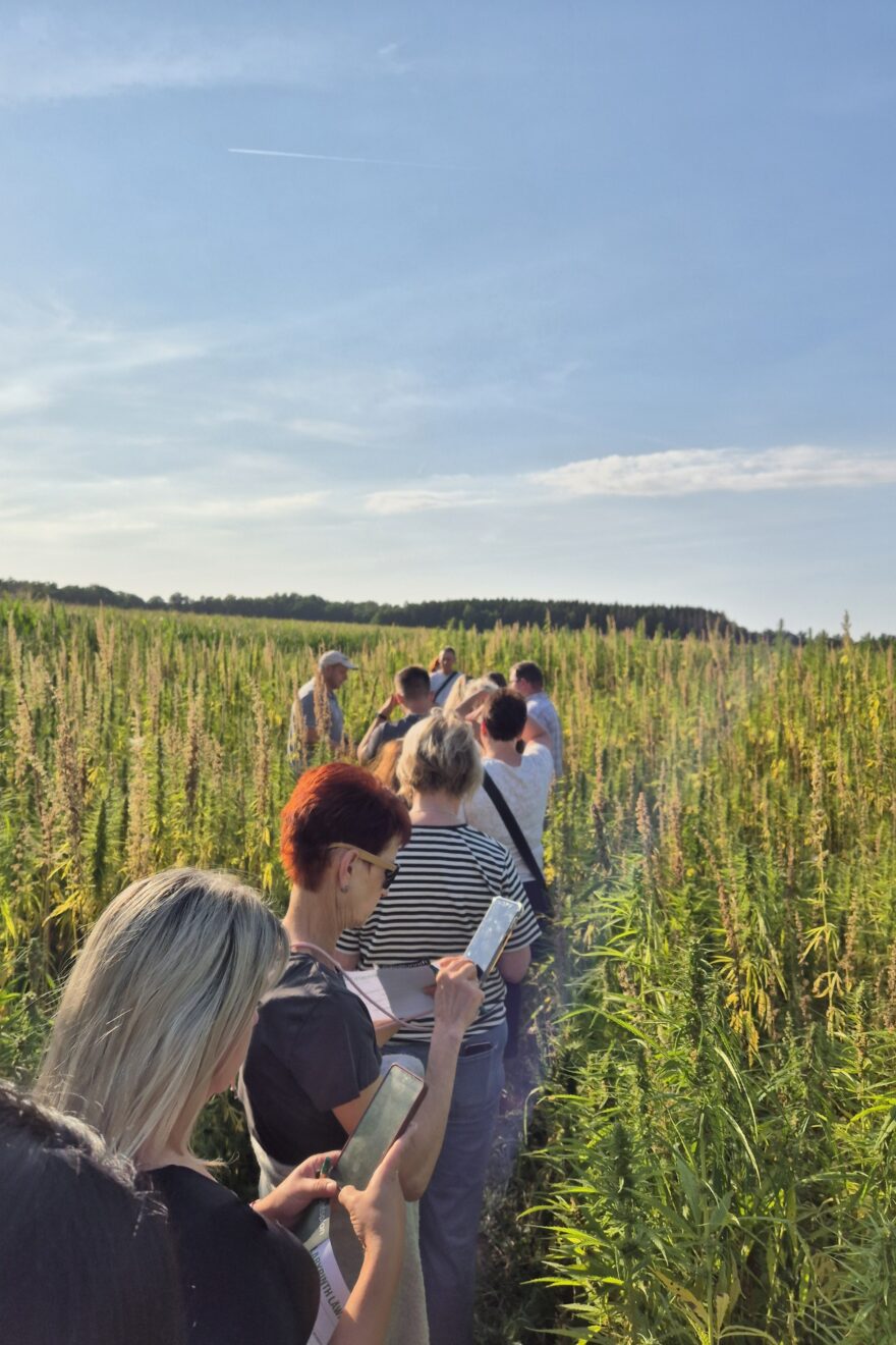 20250820 175818 resized