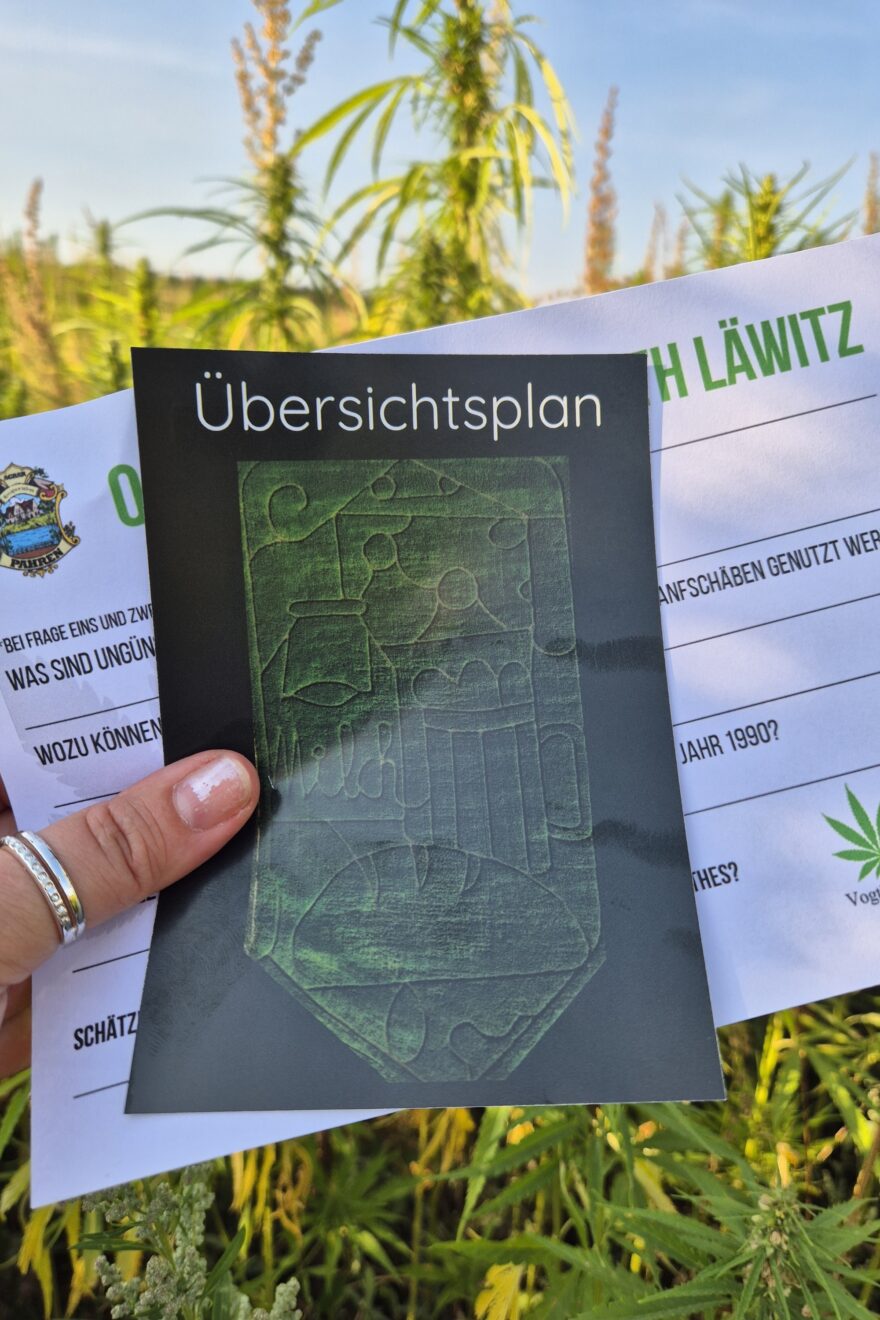 20250820 175938 resized