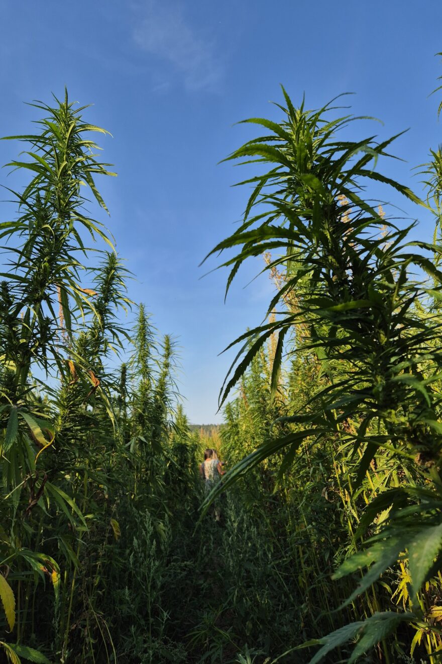 20250820 180659 resized