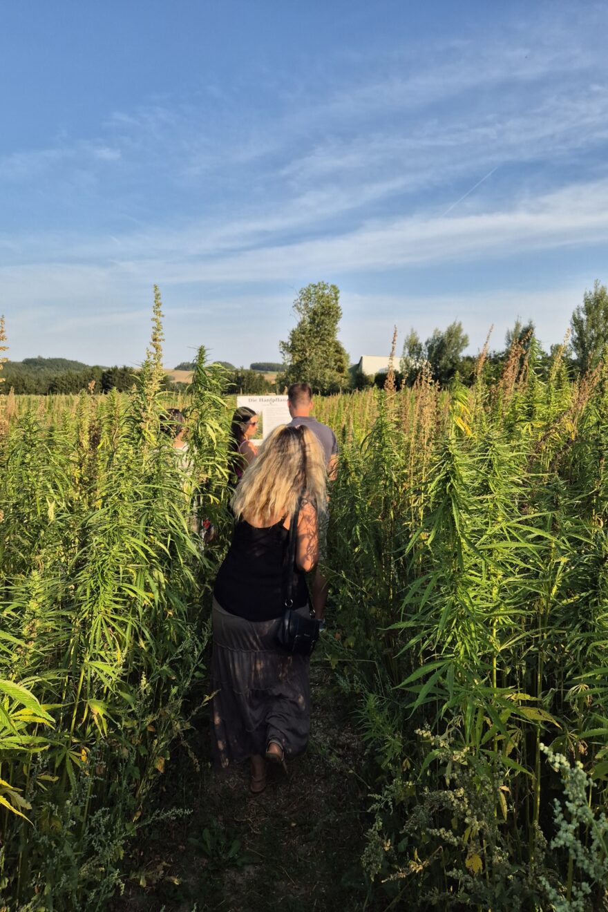 20250820 180730 resized