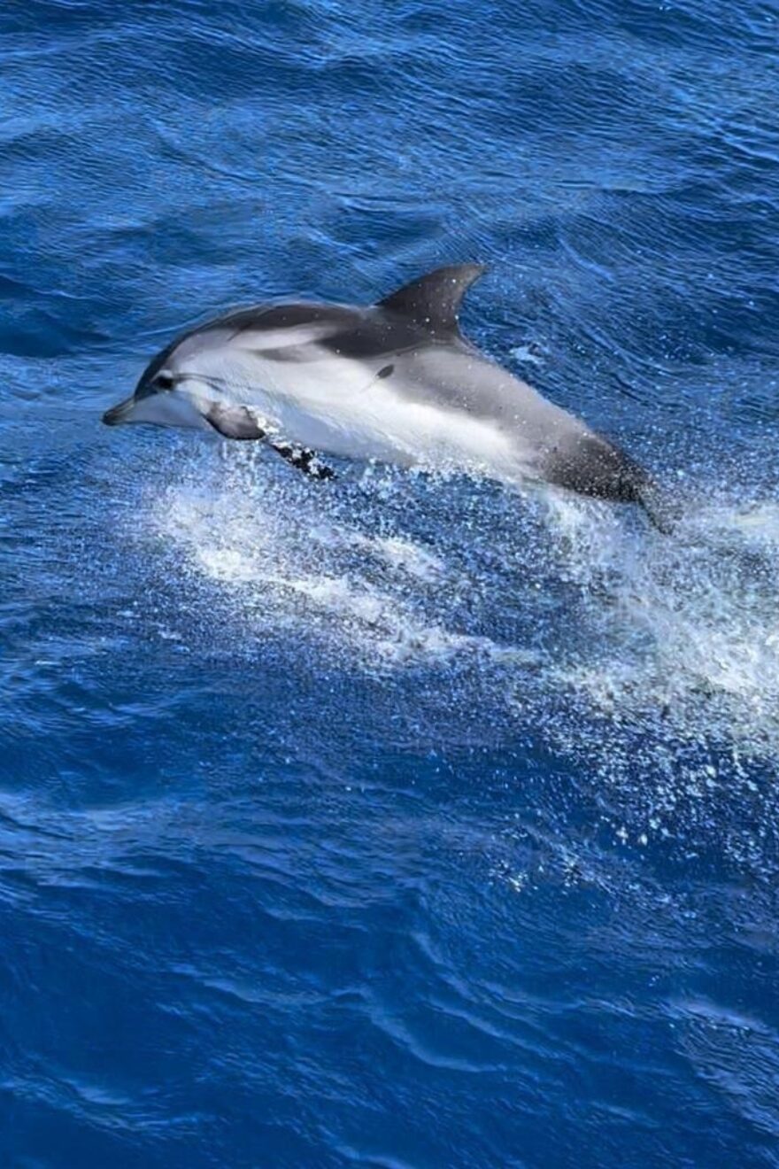 Segelturn_20224afdc544-4c6a-4806-9853-4676e66bb2e0.jpg