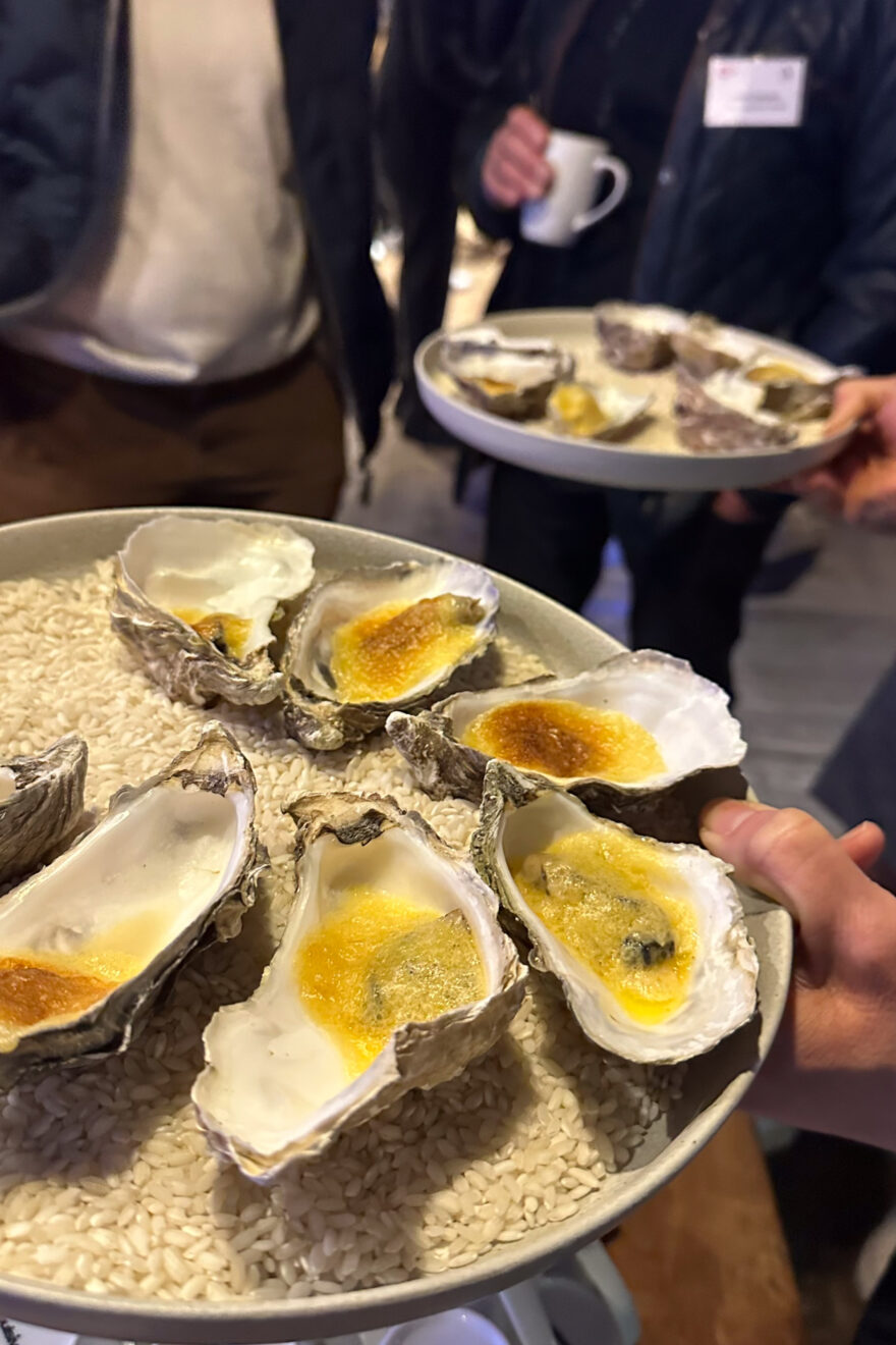 Kreuz und Quer Gmb H 26 03 25 BVMW Hotel Riesen Gebirge Johannes Warth w 3018