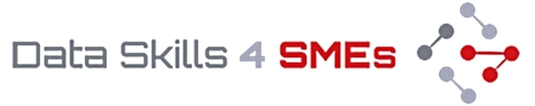 Data Skills 4 SMEs