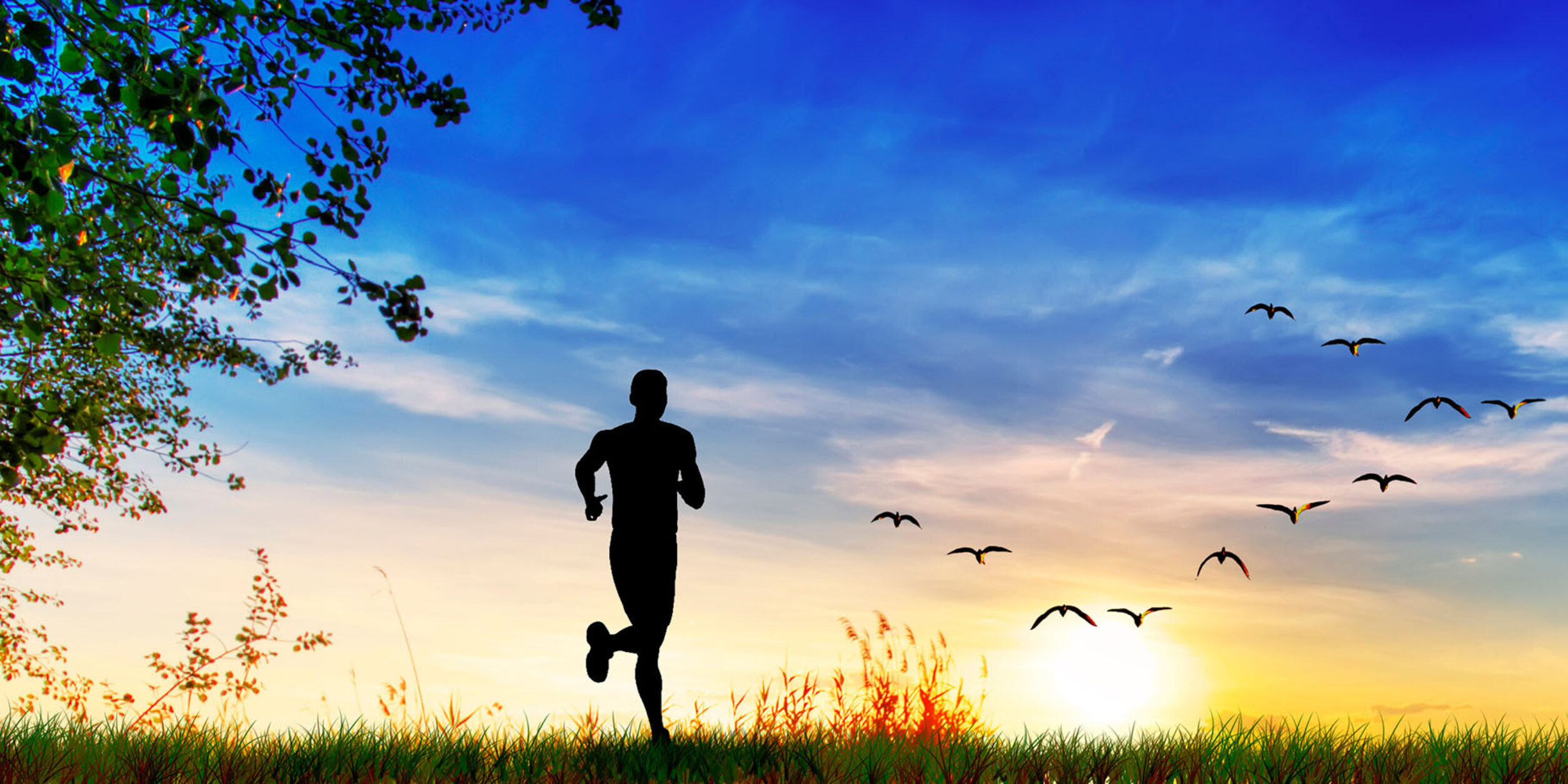 Jogger, Sonnenuntergang, Vogelschwarm