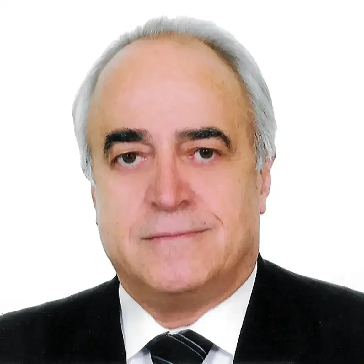 Elias Assouad, Representative Lebanon