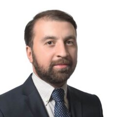 Irakli Pipia, Auslandsrepräsentant Georgien