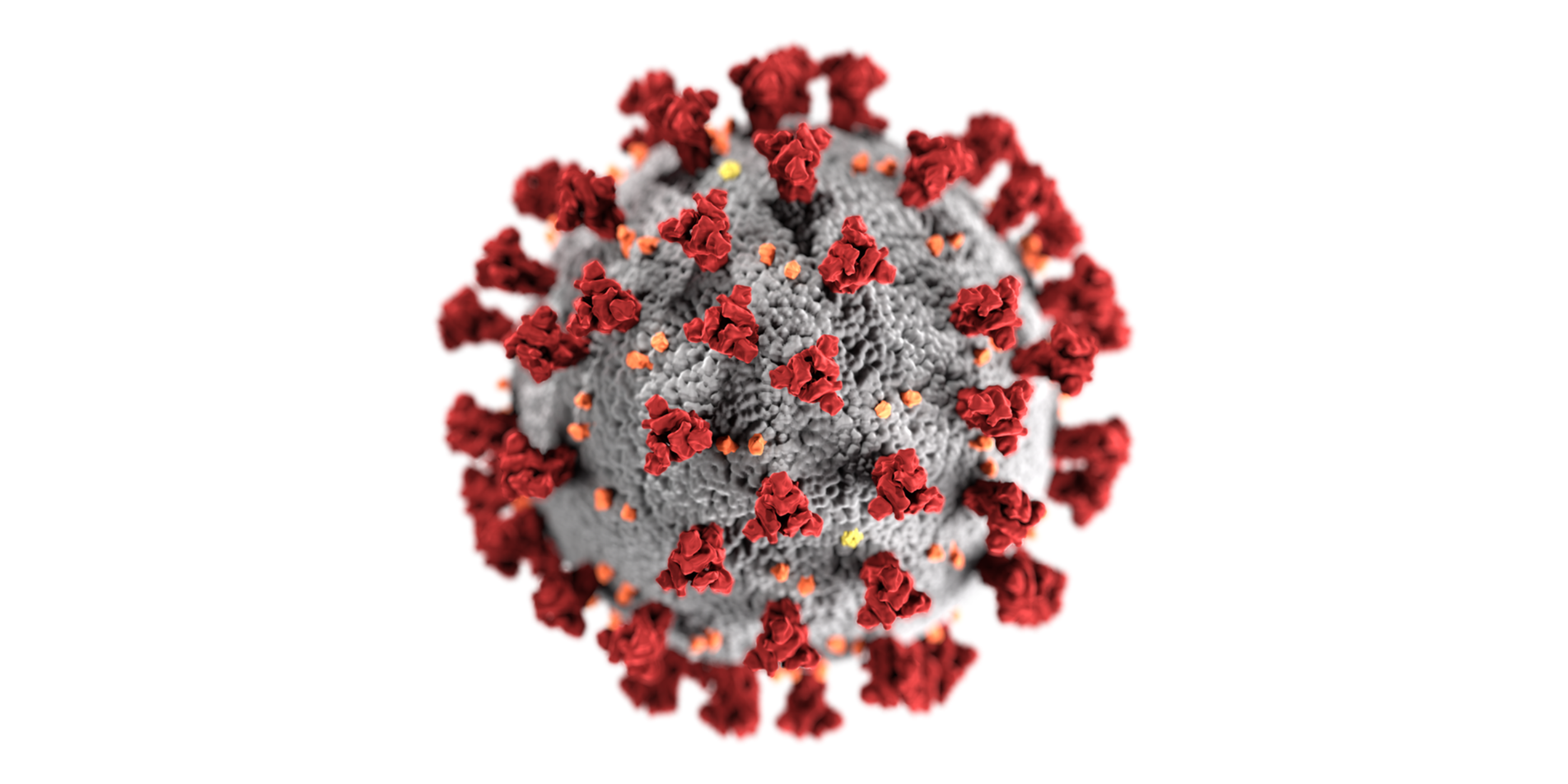 SARS Co V 2 1920x960