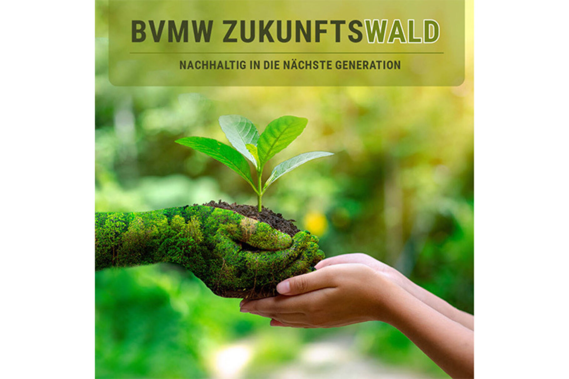 Zukunftswald BVMW Ökodynamik Nachhaltigkeit