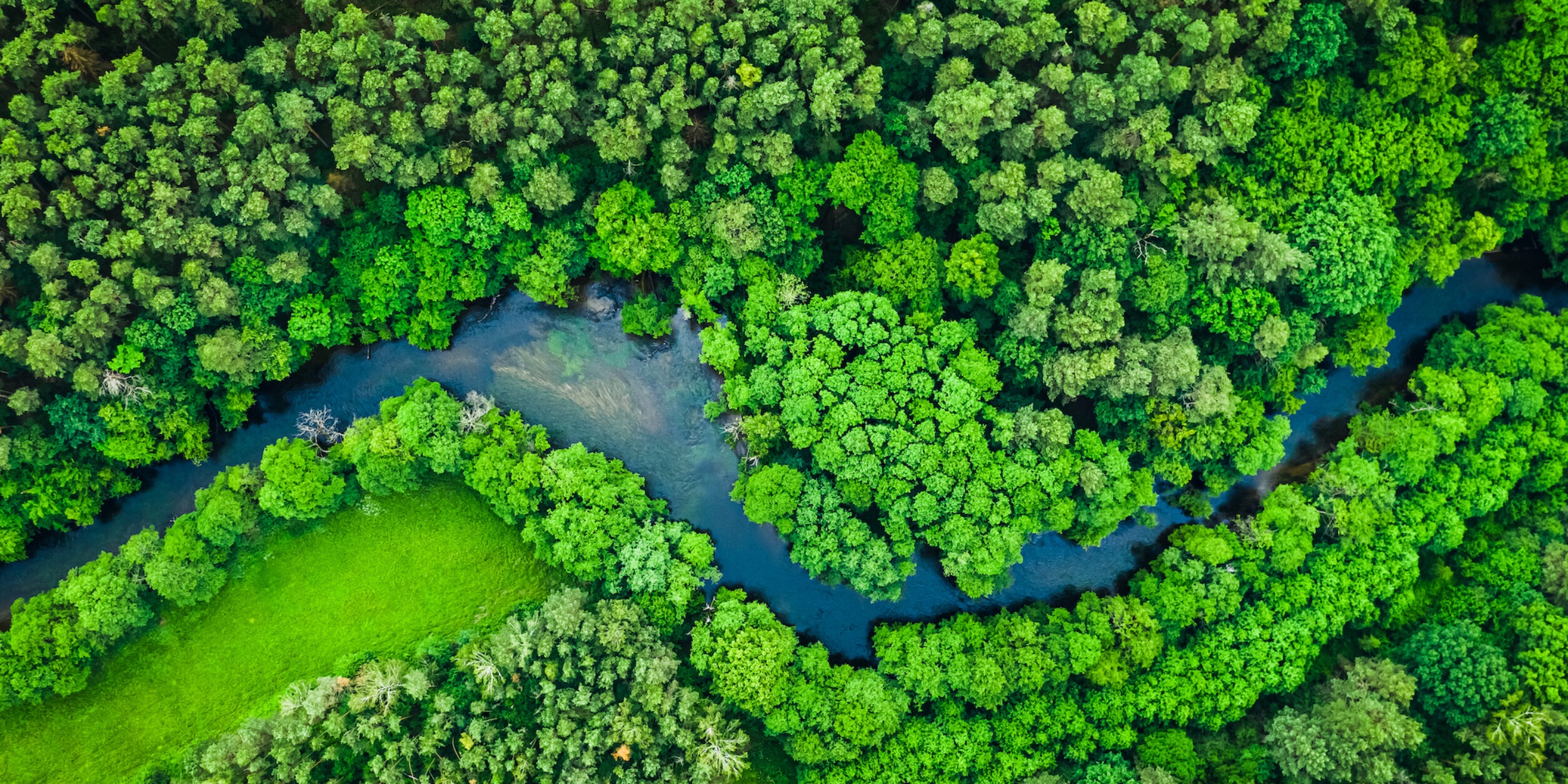 Banner Nachhaltiger Mittelstand 2000 1000 2023