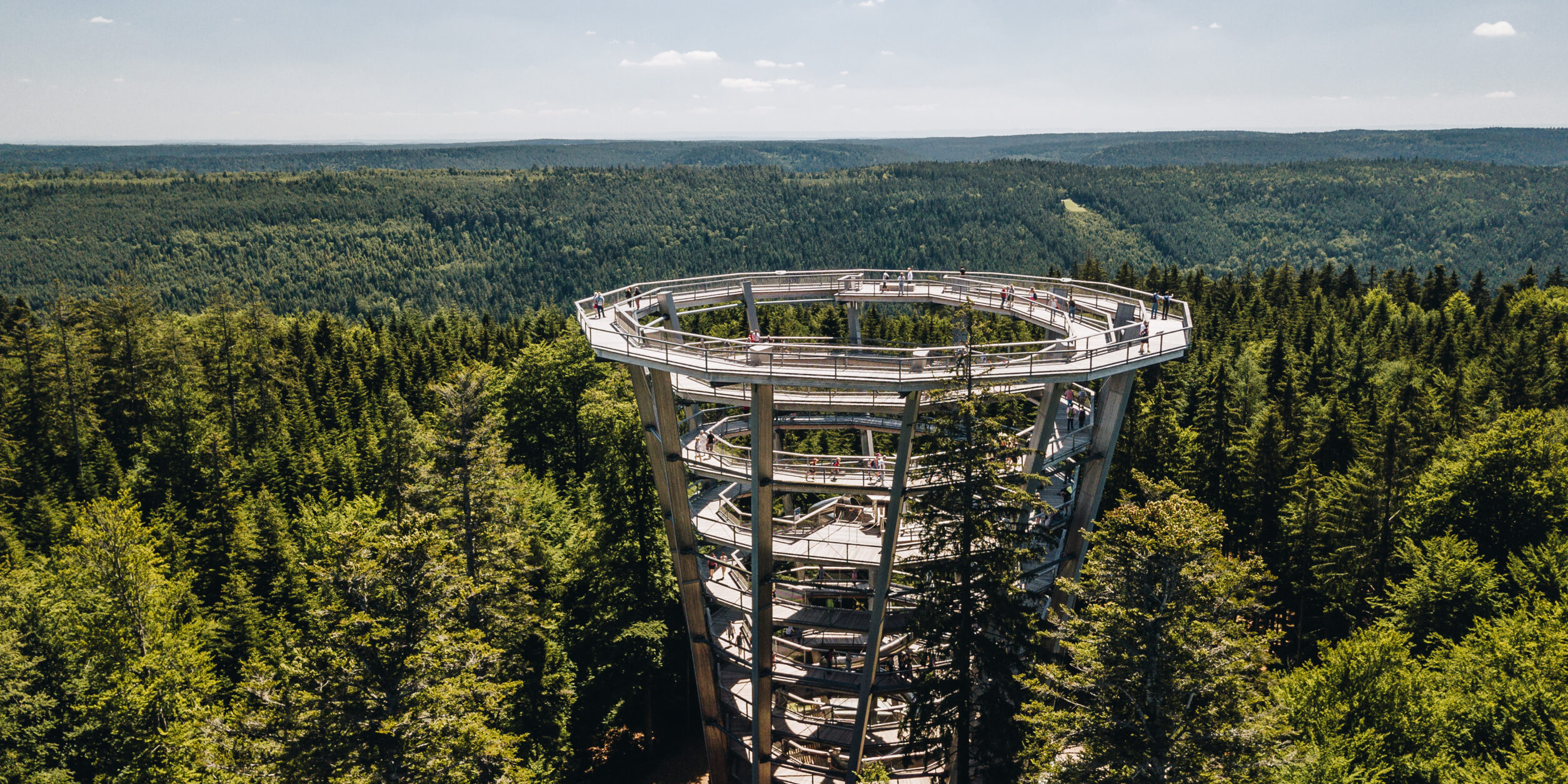 Baumwipfelpfad Chris Keller Schwarzwald Tourismus