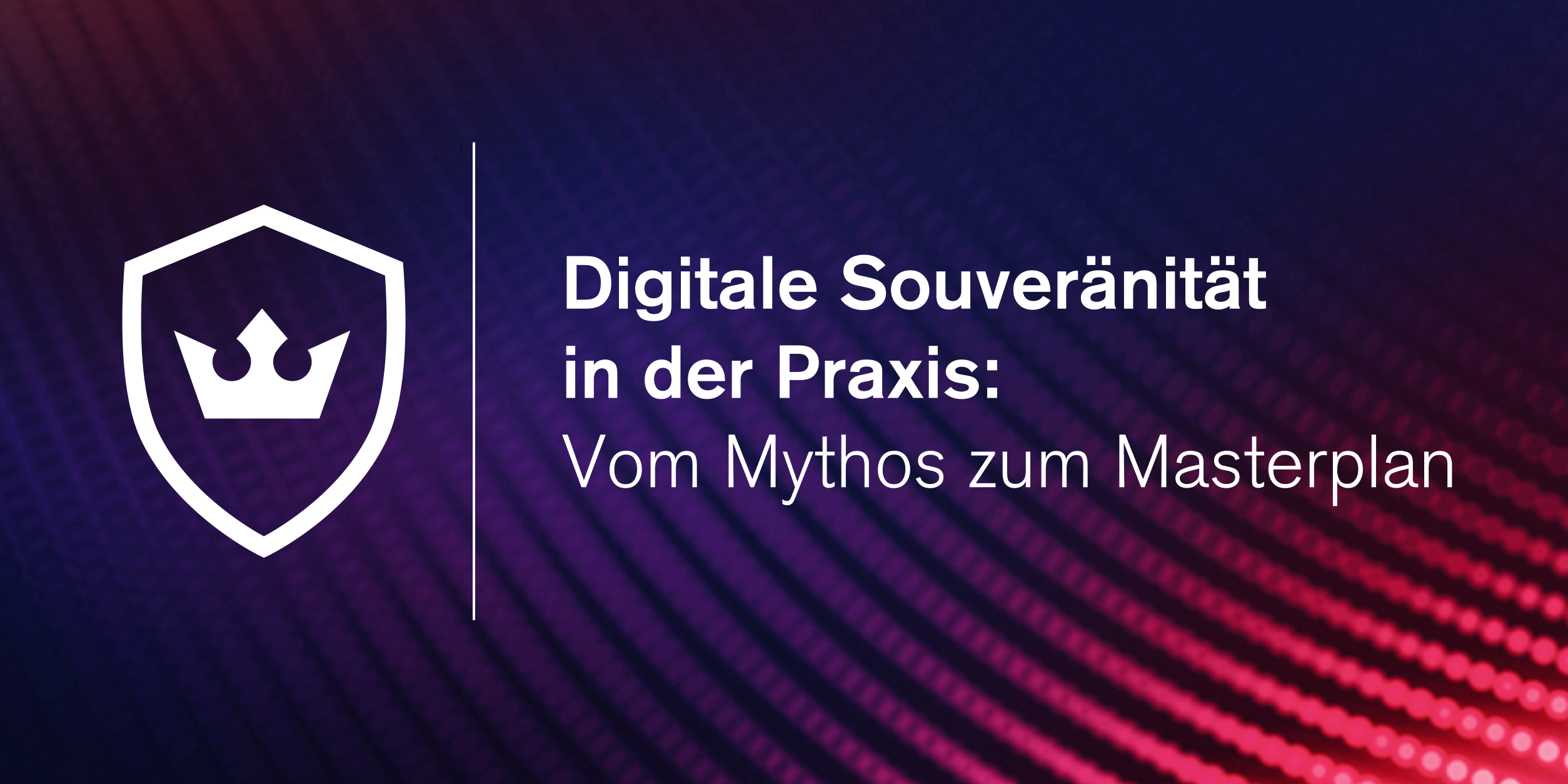 Digsov in der praxis