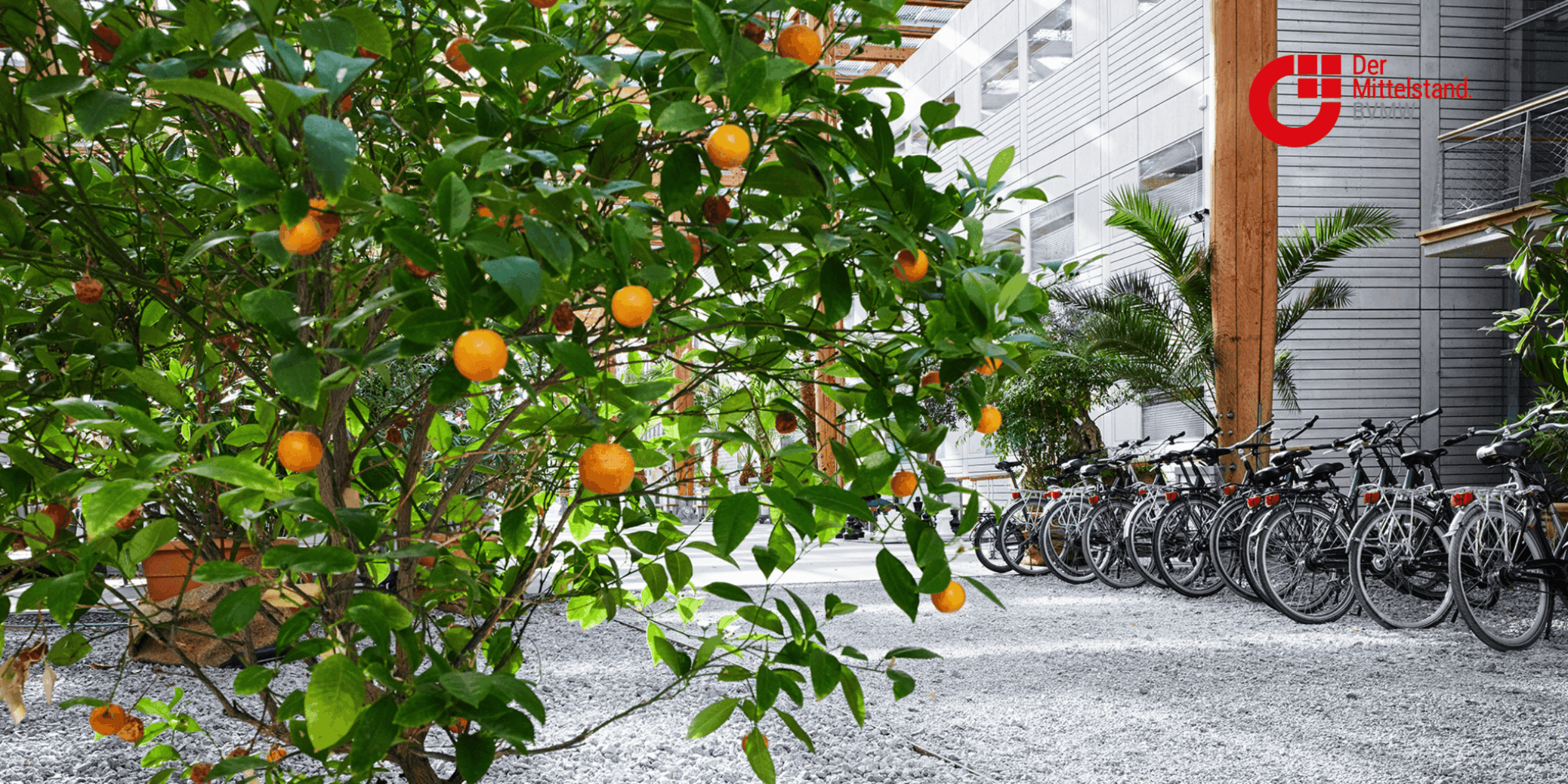 Header AfterWork Radtour Recklinghausen-Herne