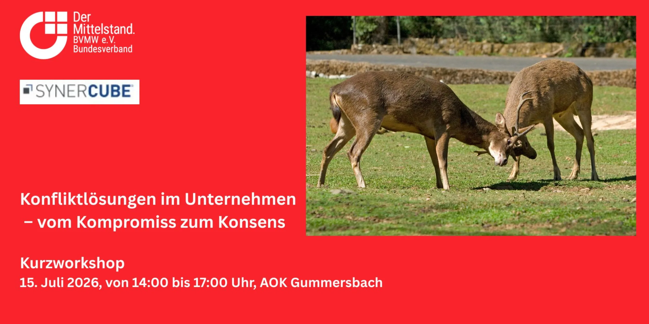 Header Konfliktlösungen im Unternehmen – vom Kompromiss zum Konsens