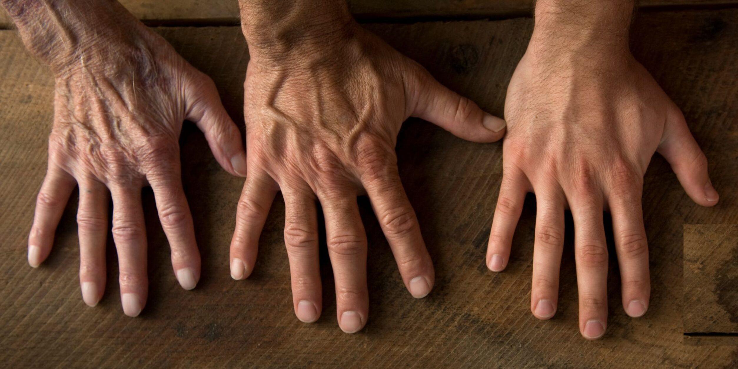 Header Runder Tisch Nachfolgeexperten