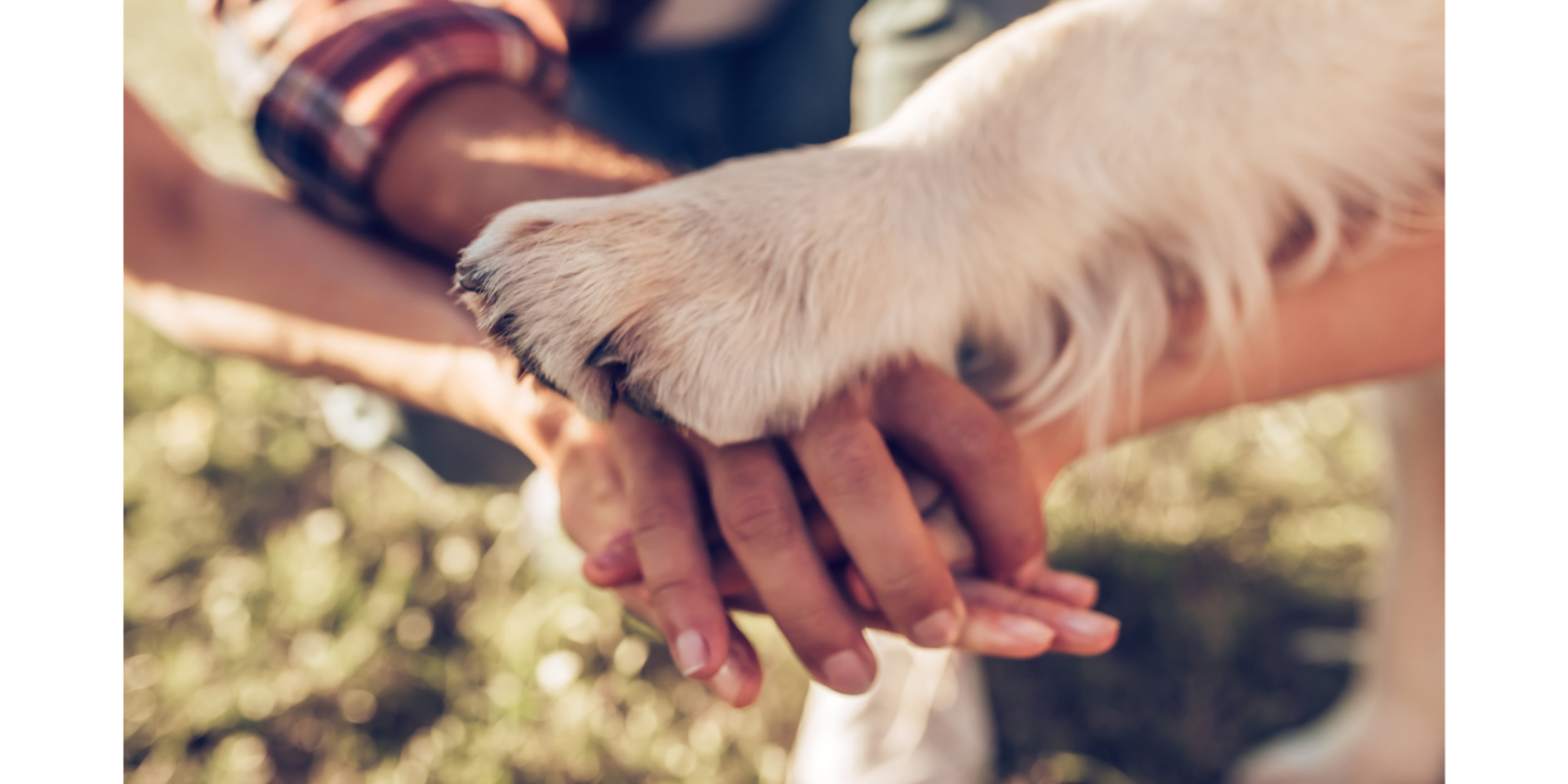 Header Eastside um 8 – Beagles & Bagels