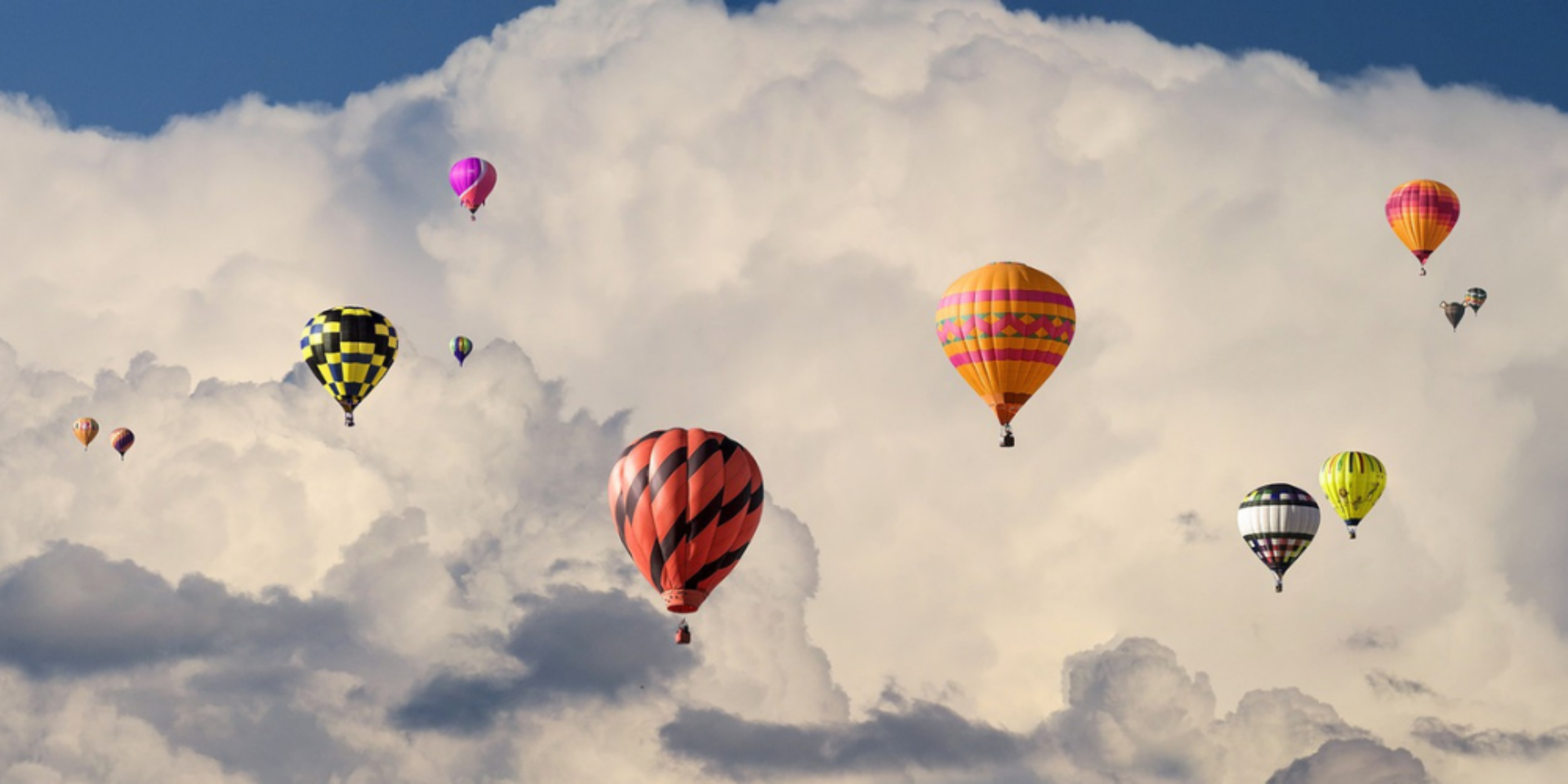 Header BVMW.FreiRaum – Netzwerken mit Weitblick