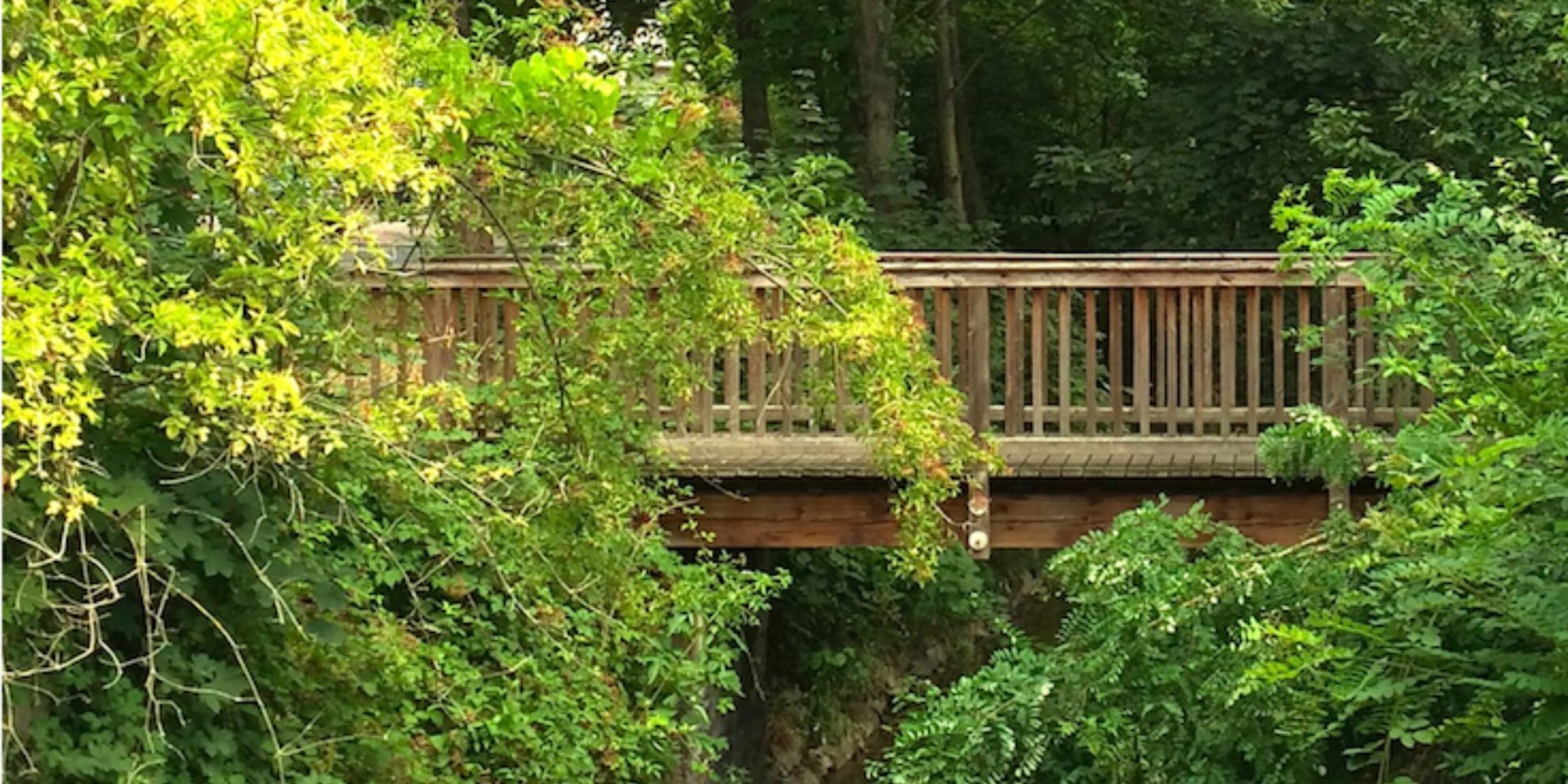 Header Gesundheitskosmos des BVMW Frankfurt