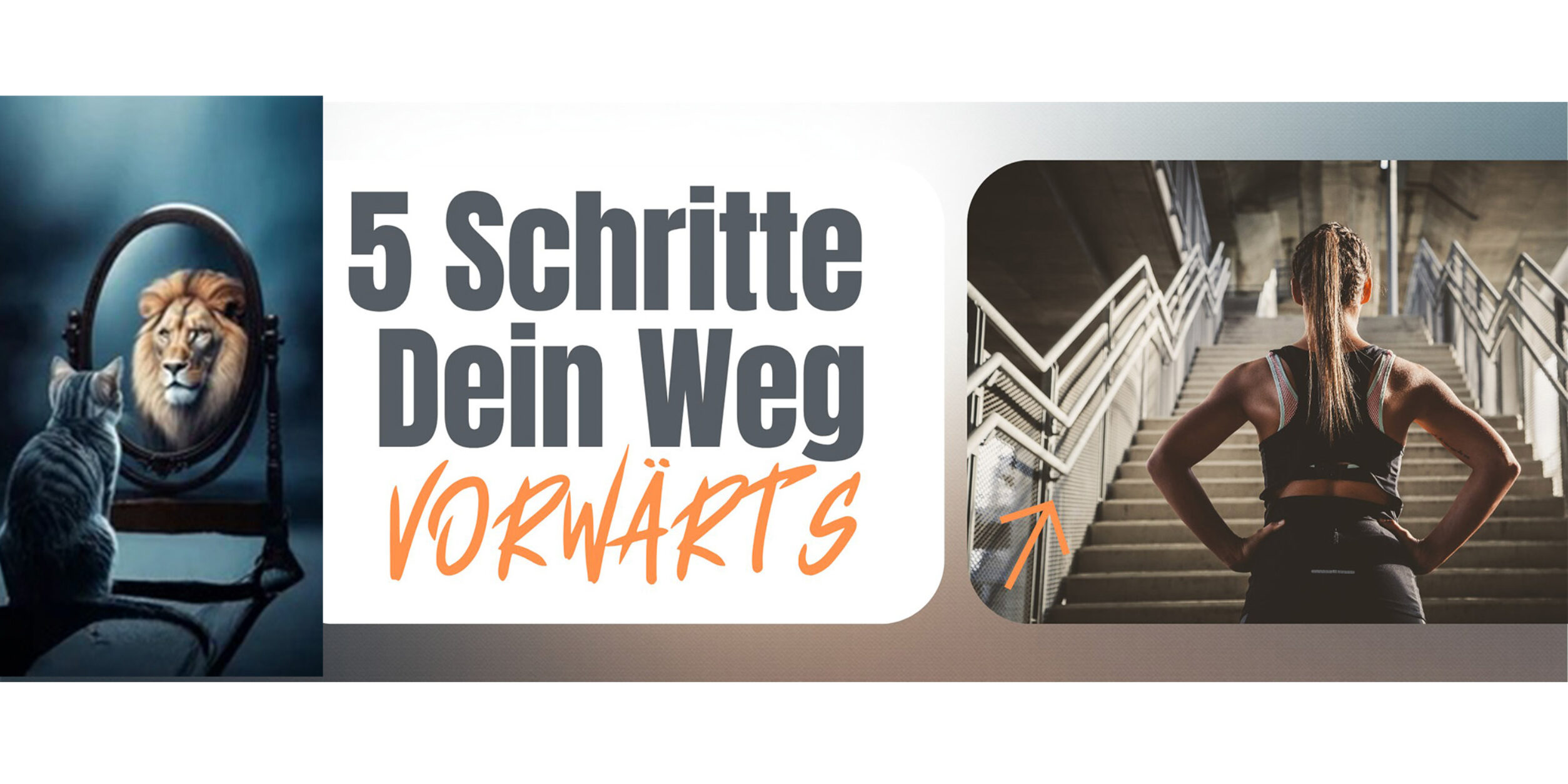 Header 5 Schritte - Dein Weg