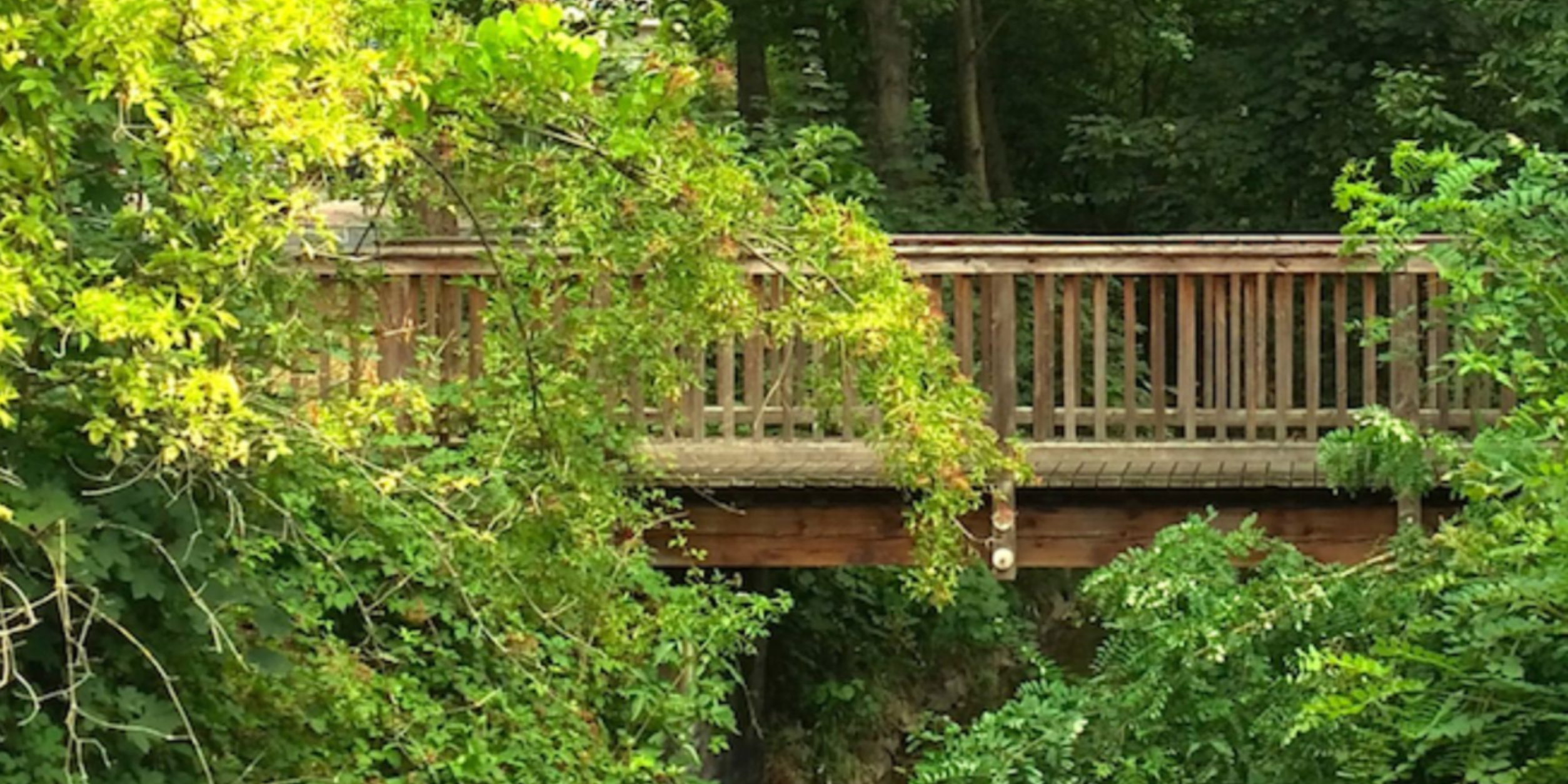 Header Gesundheitskosmos des BVMW Hessen in Frankfurt am Main