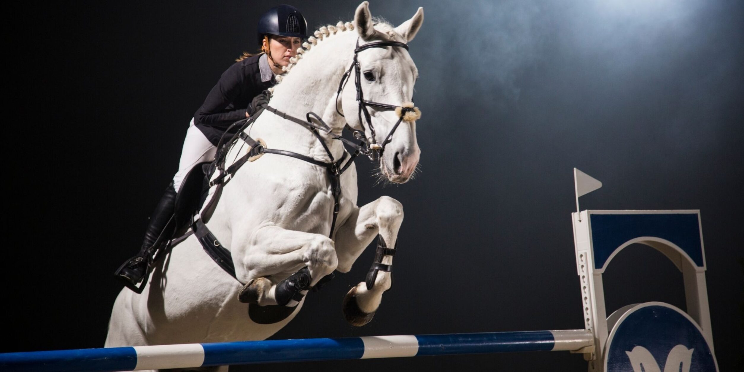 Header LONGINES BALVE OPTIMUM 2026 - Zukunft braucht Herkunft