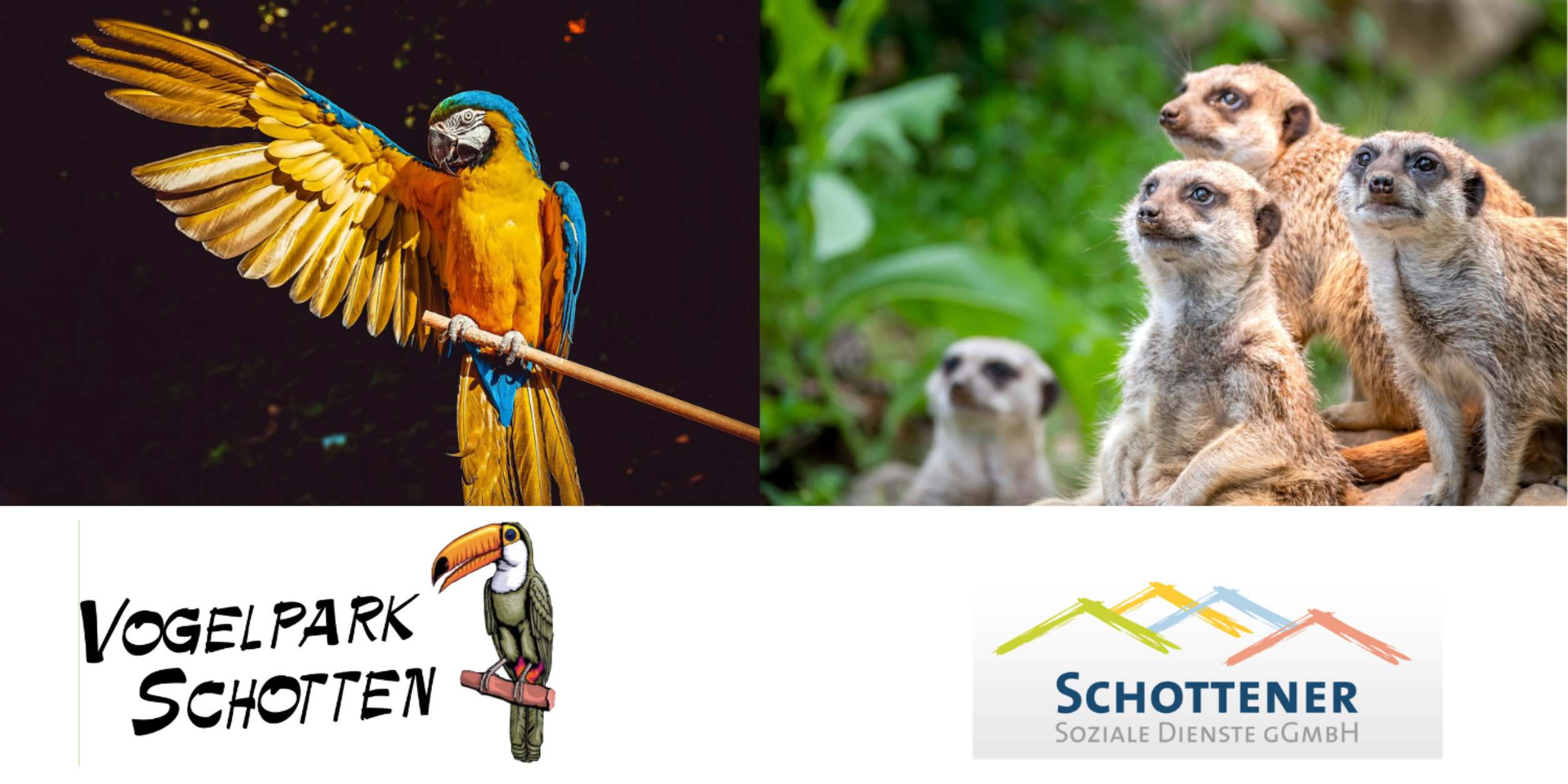 Header BVMW.LokalZeit No. 2 - Der Vogelpark in Schotten