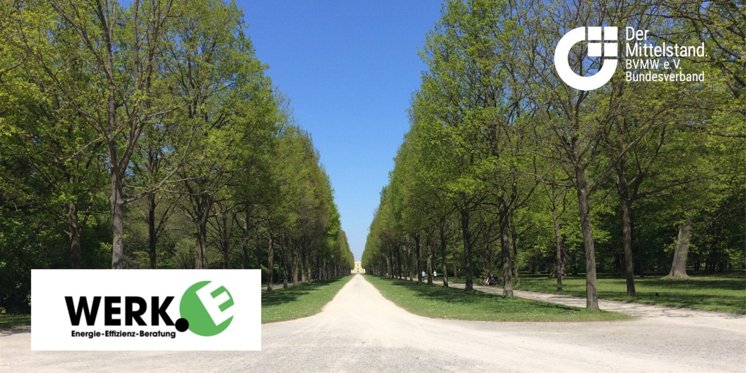 Header Casual Friday Lunch, 27. März 2026 mit Dominik Baumgart, WERK.E