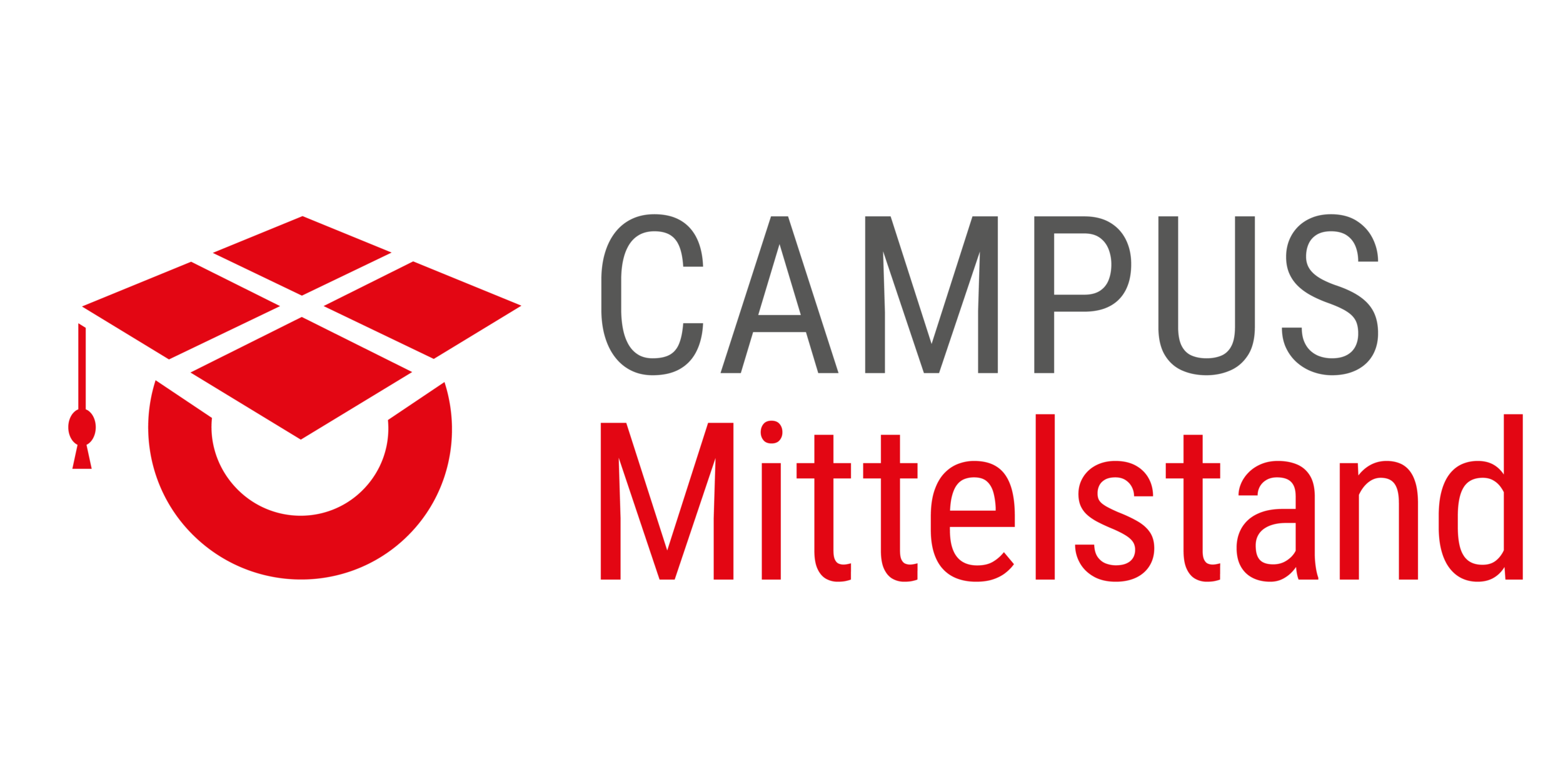 Header Campus Mittelstand | Charismatisch-visionäre Führung