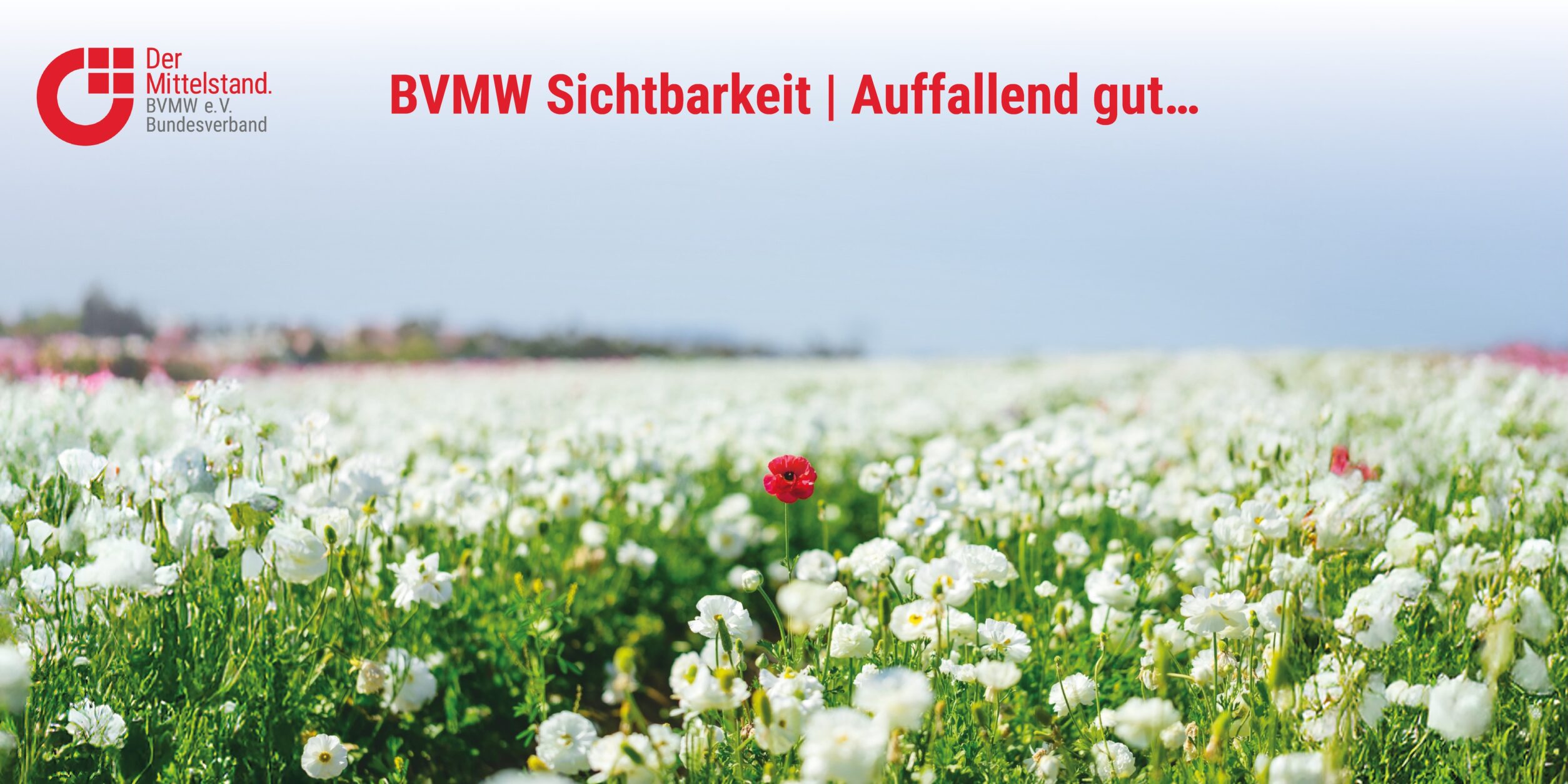 Header BVMW Sichtbarkeit | Auffallend gut...