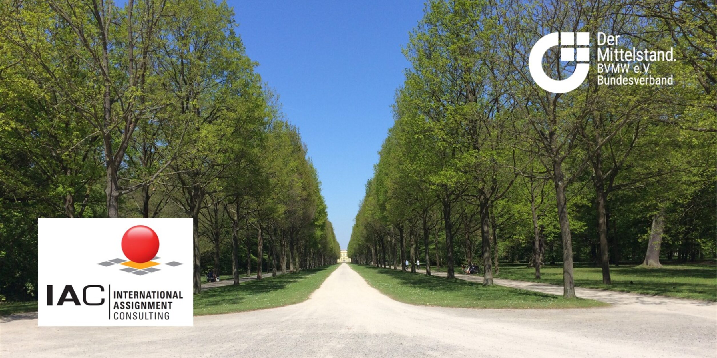 Header Casual Friday Lunch, 27. März 2026 mit Kai Mütze, IAC International Assignment Consulting