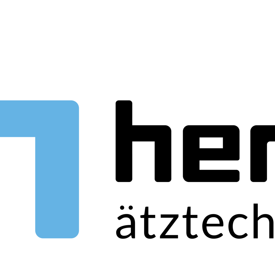 Herz Logo S Quer rgb