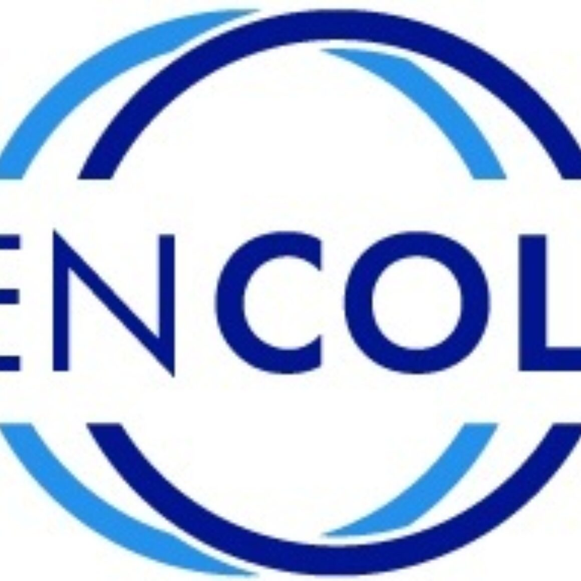 Logo Badencollect fixiert retina new