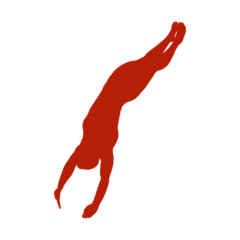 FREIWASSER Marketing springer 2023