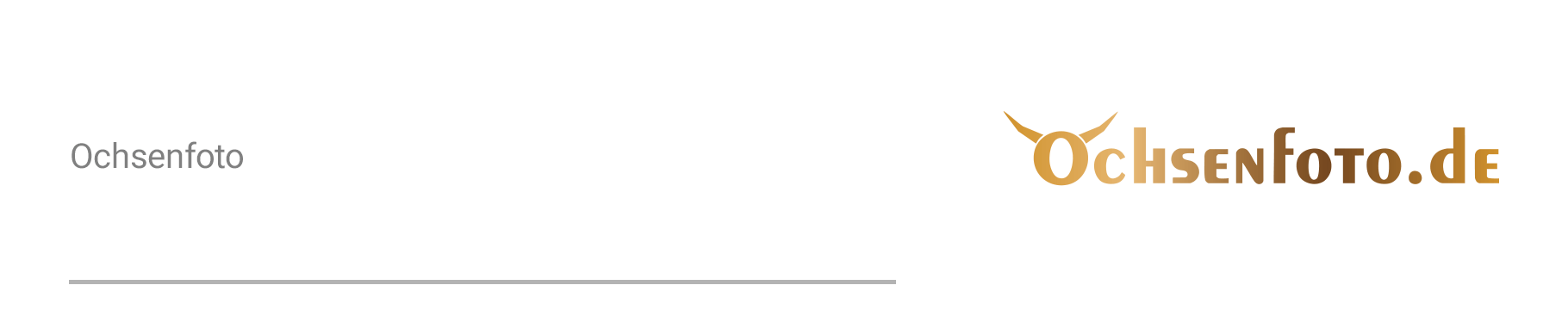 Ochsenfoto - Thorsten Ochs