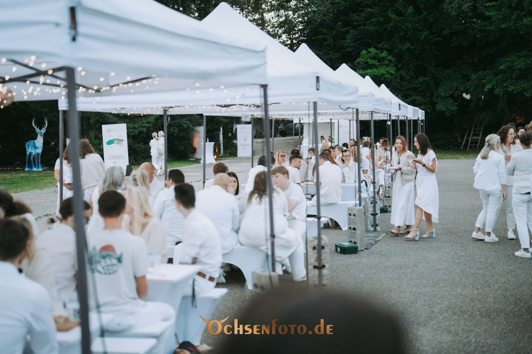 BVMW Weiße Nacht am Fichtelsee 2025