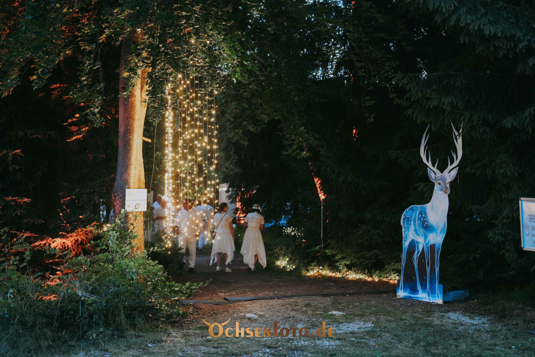 BVMW Weiße Nacht am Fichtelsee 2025