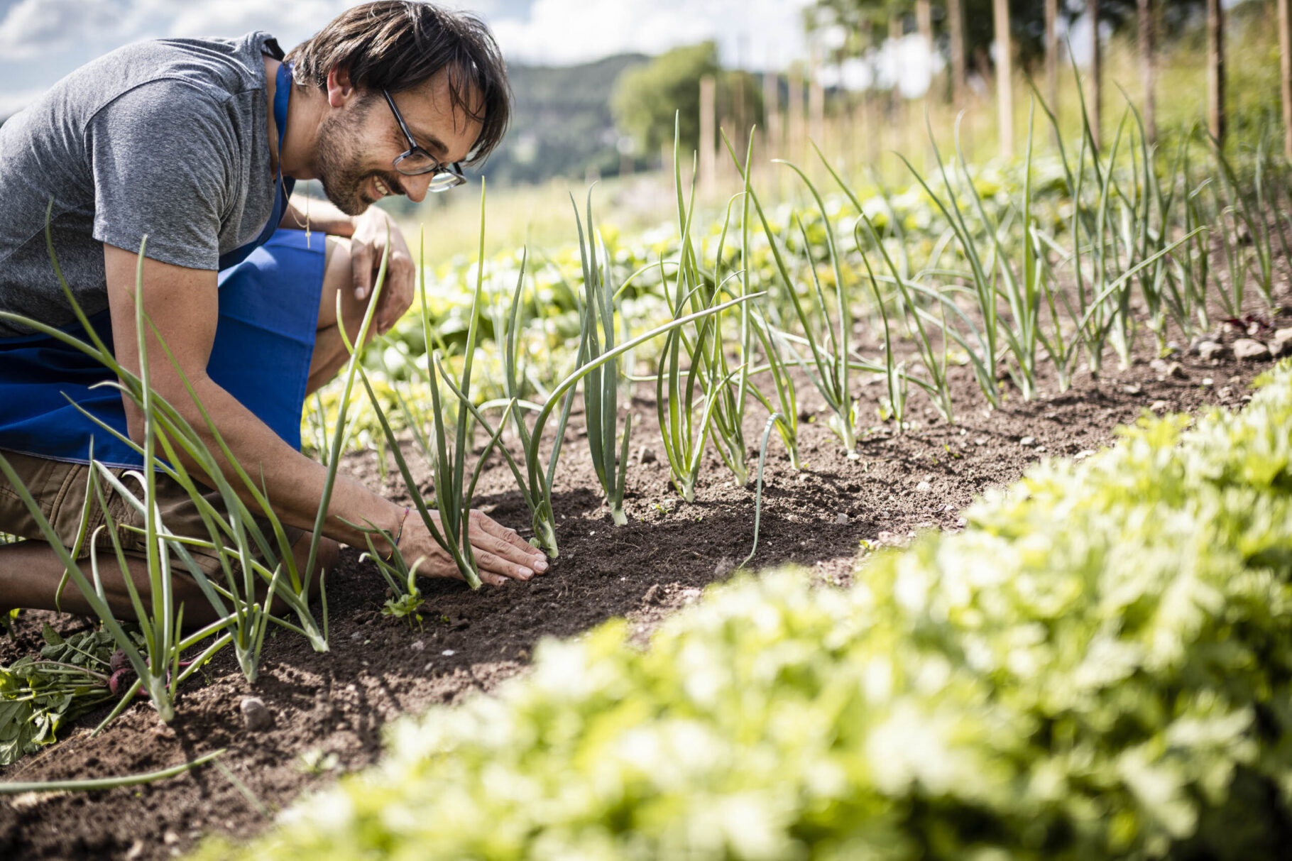 Michael Steiner im Garten